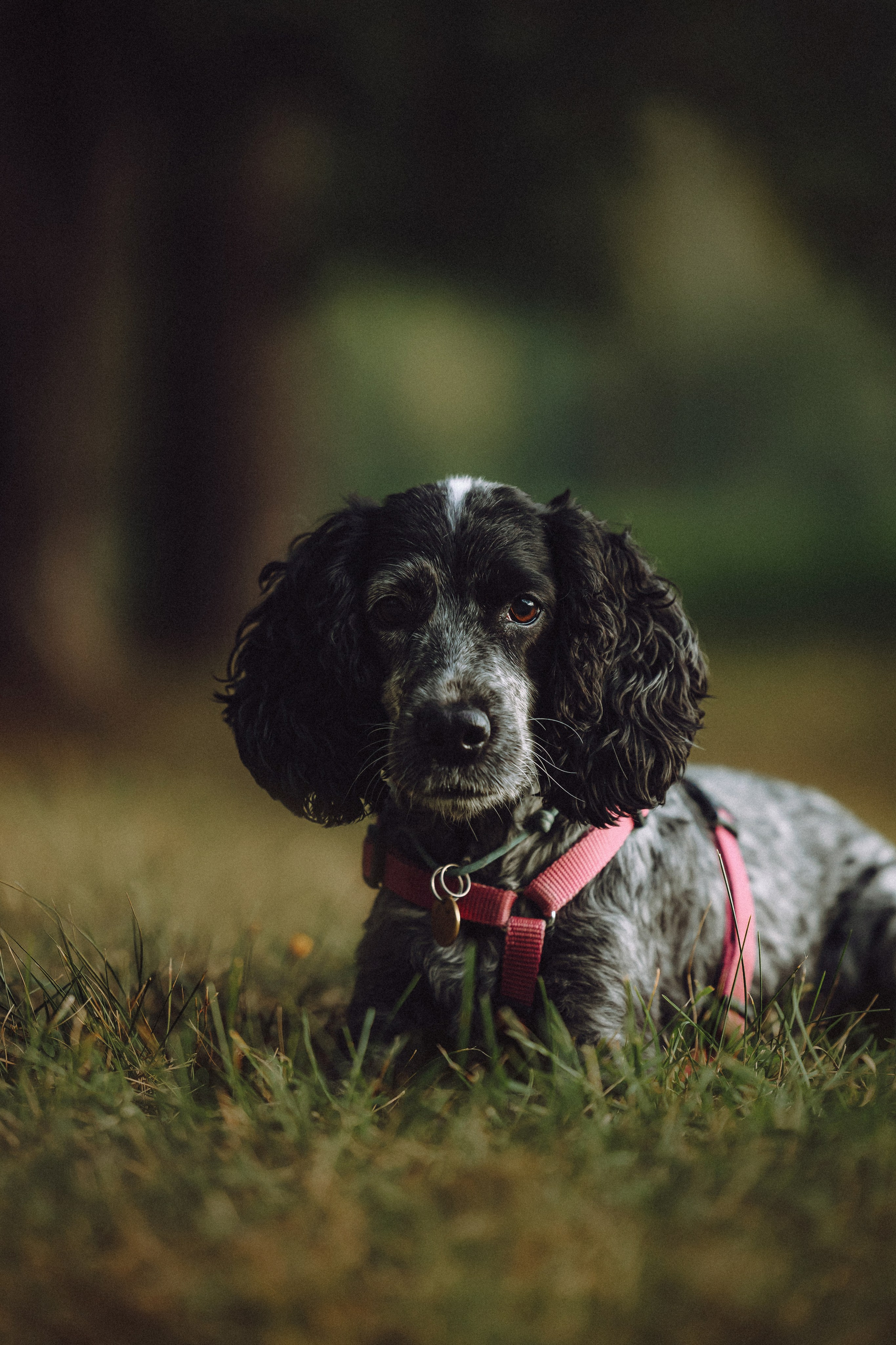 Маша и Ларри