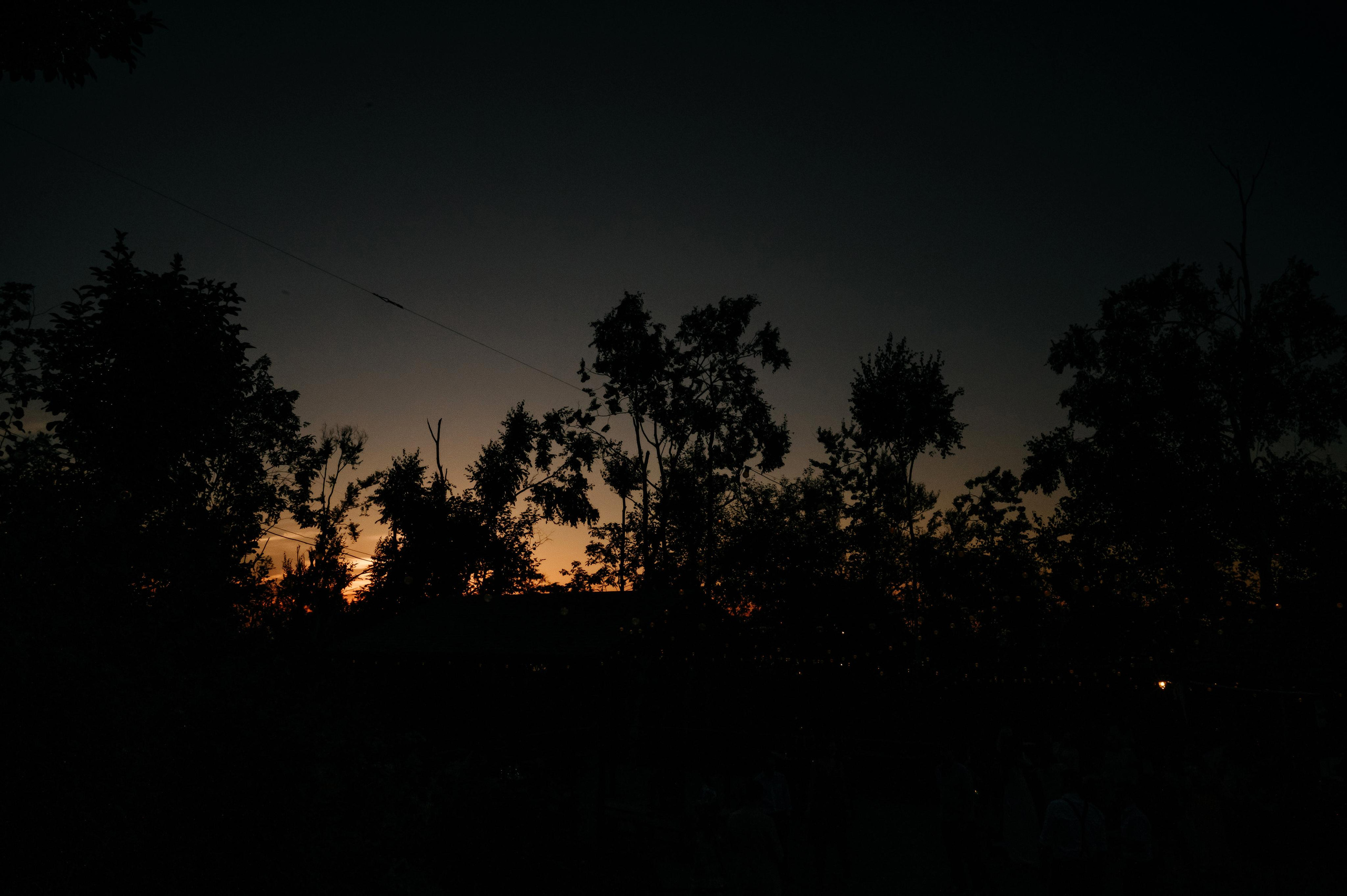 Марина Антон. Свадьба в Лесу. Фотограф Владивосток. Игорь Кирсанов