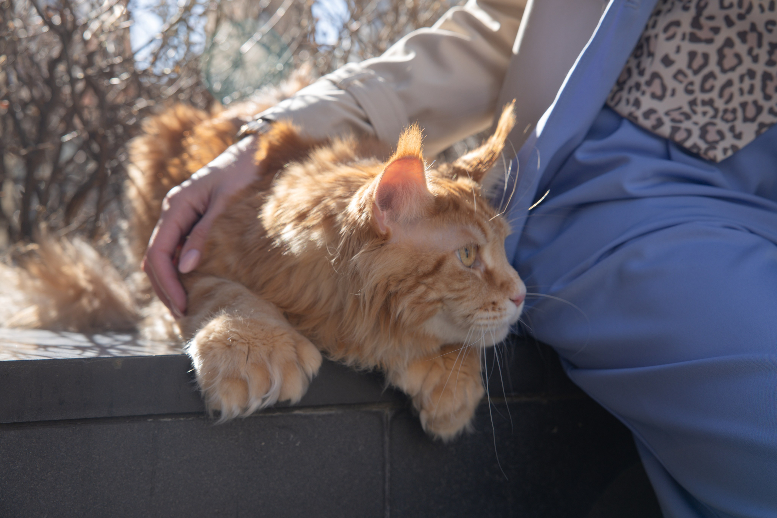 Контент съемка для соцсетей. Невская ратуша. Фотограф в Санкт-Петербурге Вагнер Юлия