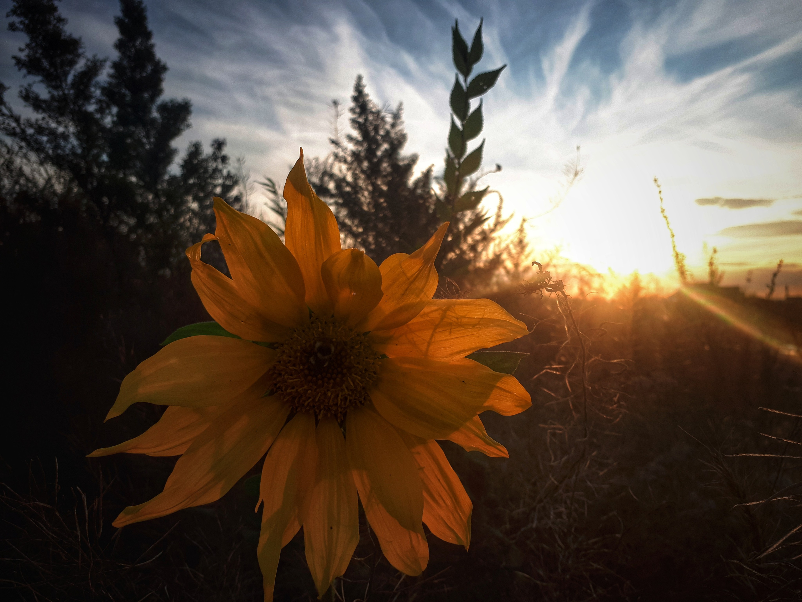 Фото на телефон. Фотошкола и фотокурсы в Абакане