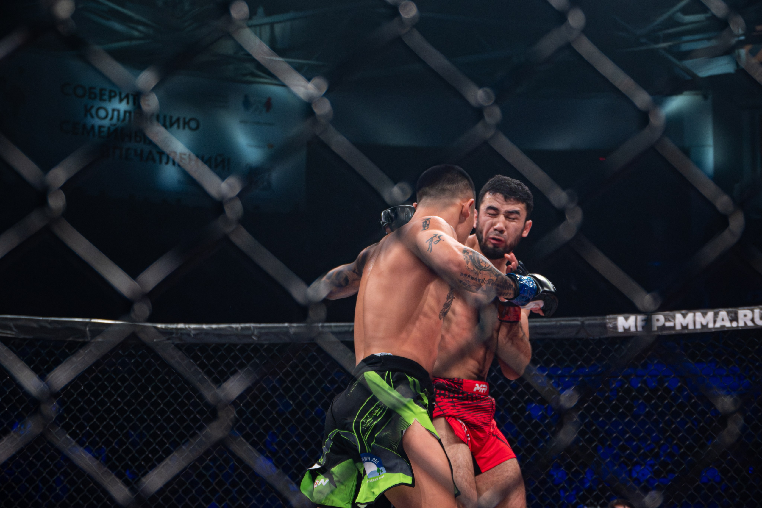 ПАНКРАТИОН. Репортажный фотограф Владислав Остерман