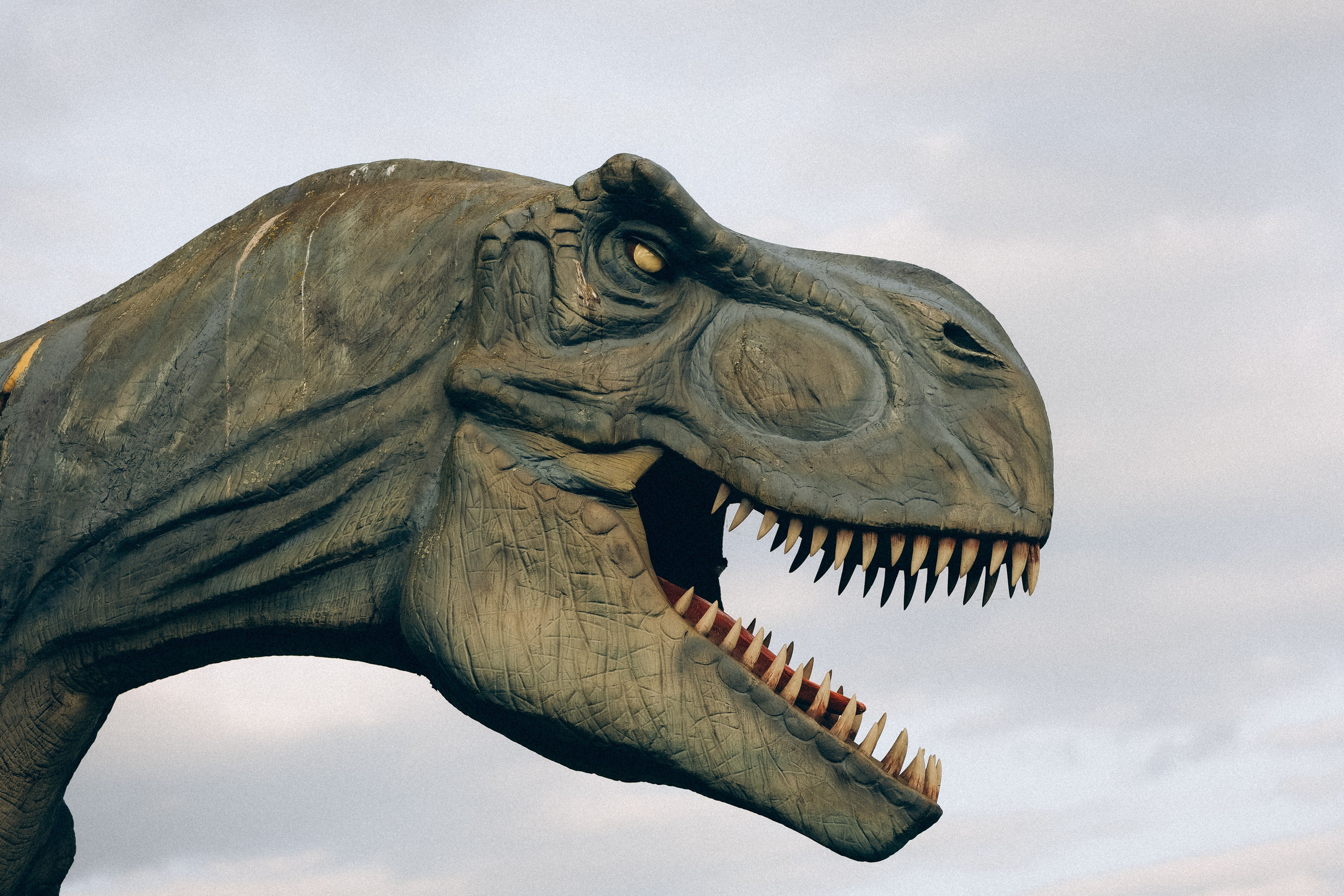 Семейная прогулка в Динопарке