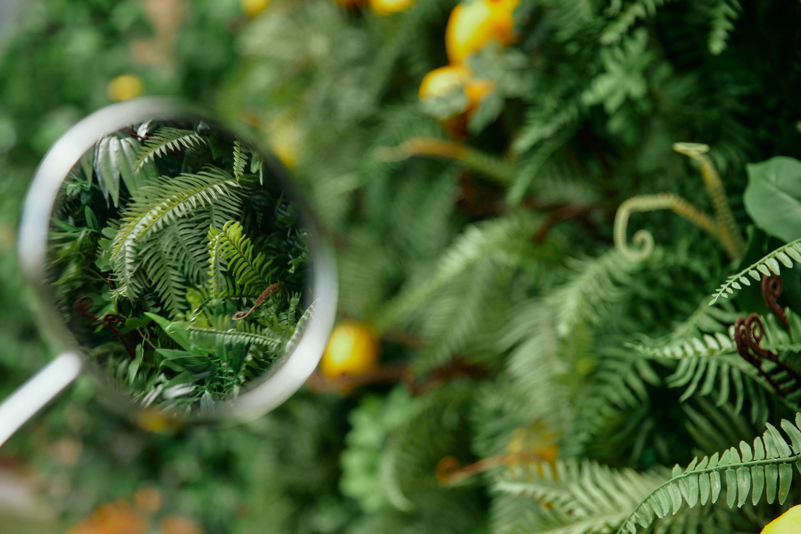 BG. Дмитрий Мазуркевич: Профессиональный Репортажный Фотограф