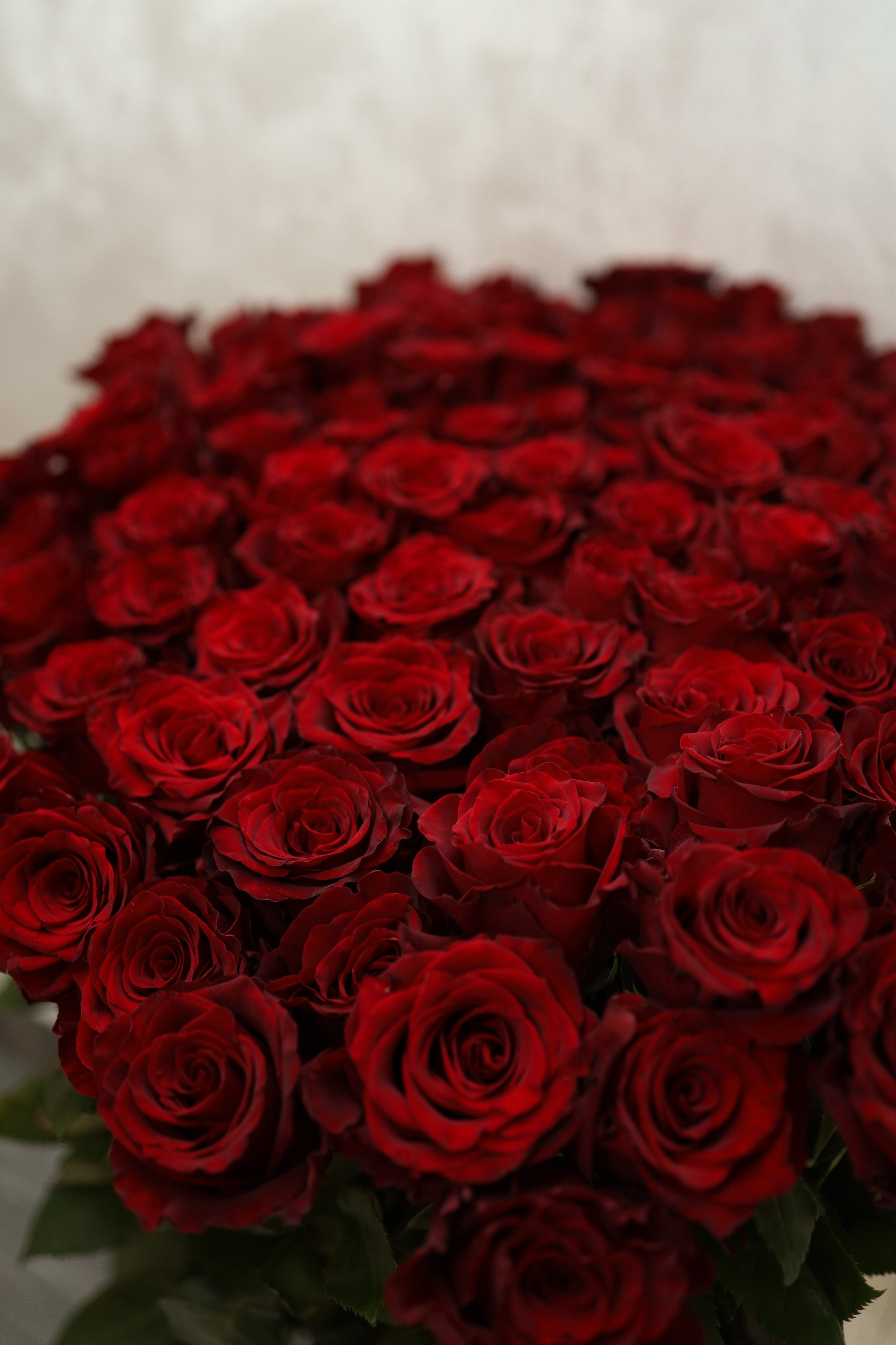 Банкет. Майорова Валерия Фотограф Ставрополь