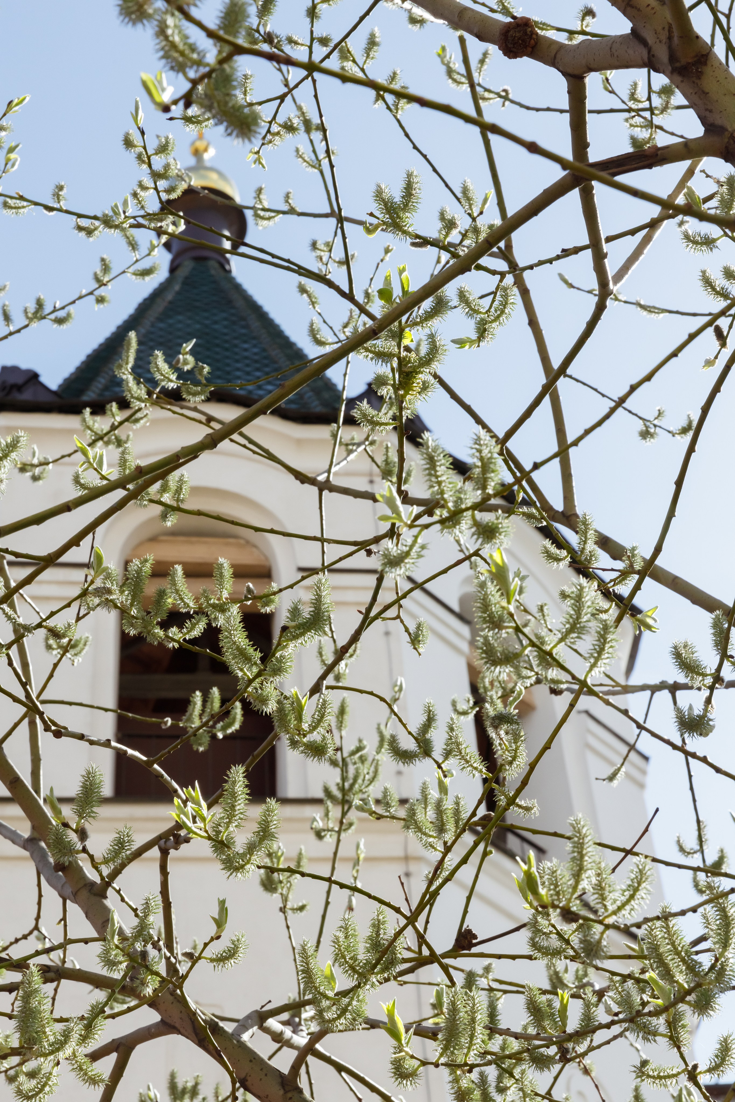 Феодоровский собор Венчание. Свадебный фотограф, крещение, венчание СПБ, Белгород Анна Коршунова