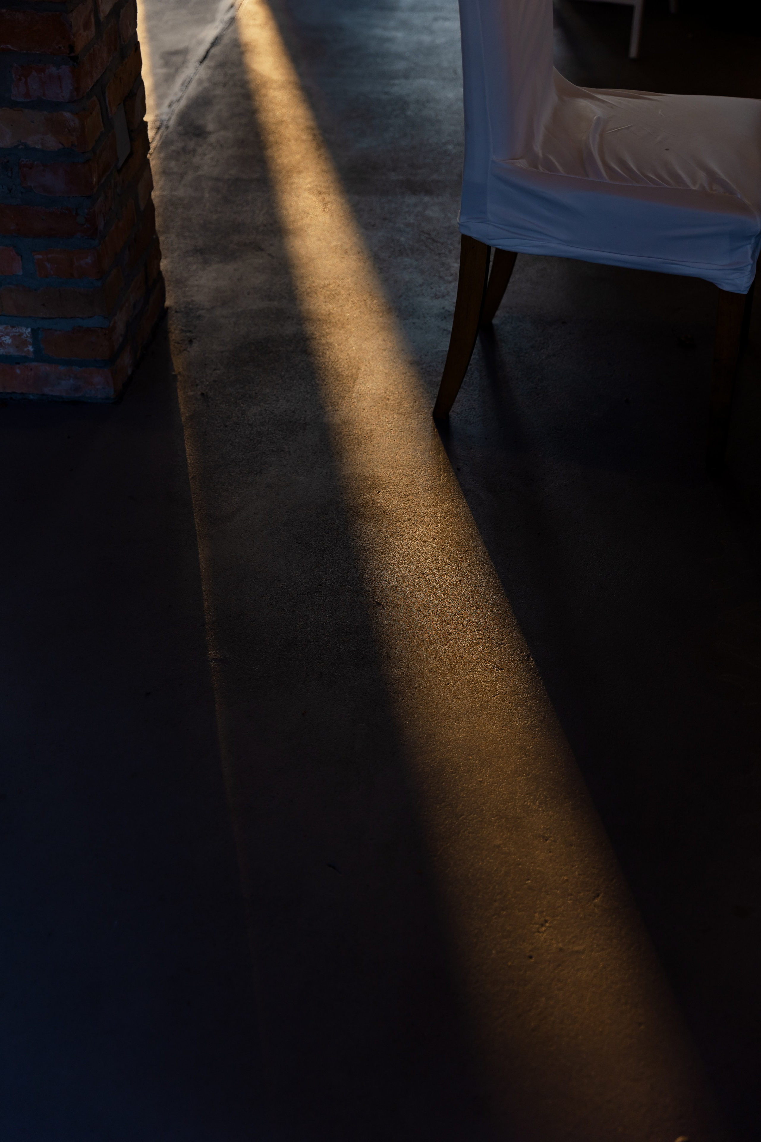 Виноградники. Dima Lemeshevsky