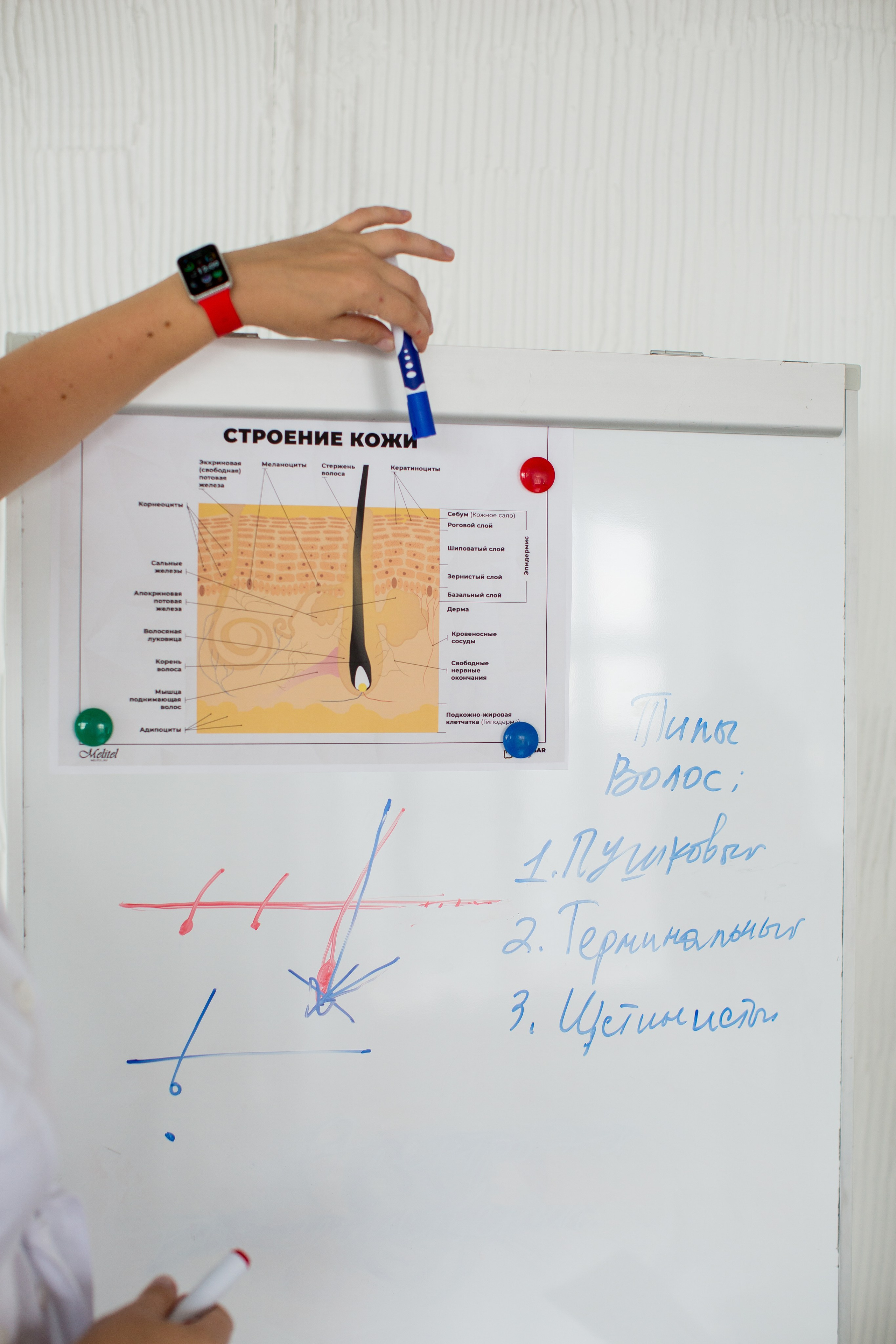 Контент съёмка для эксперта по электродепиляции. Портретный фотограф в Красноярске Акифьева Евгения