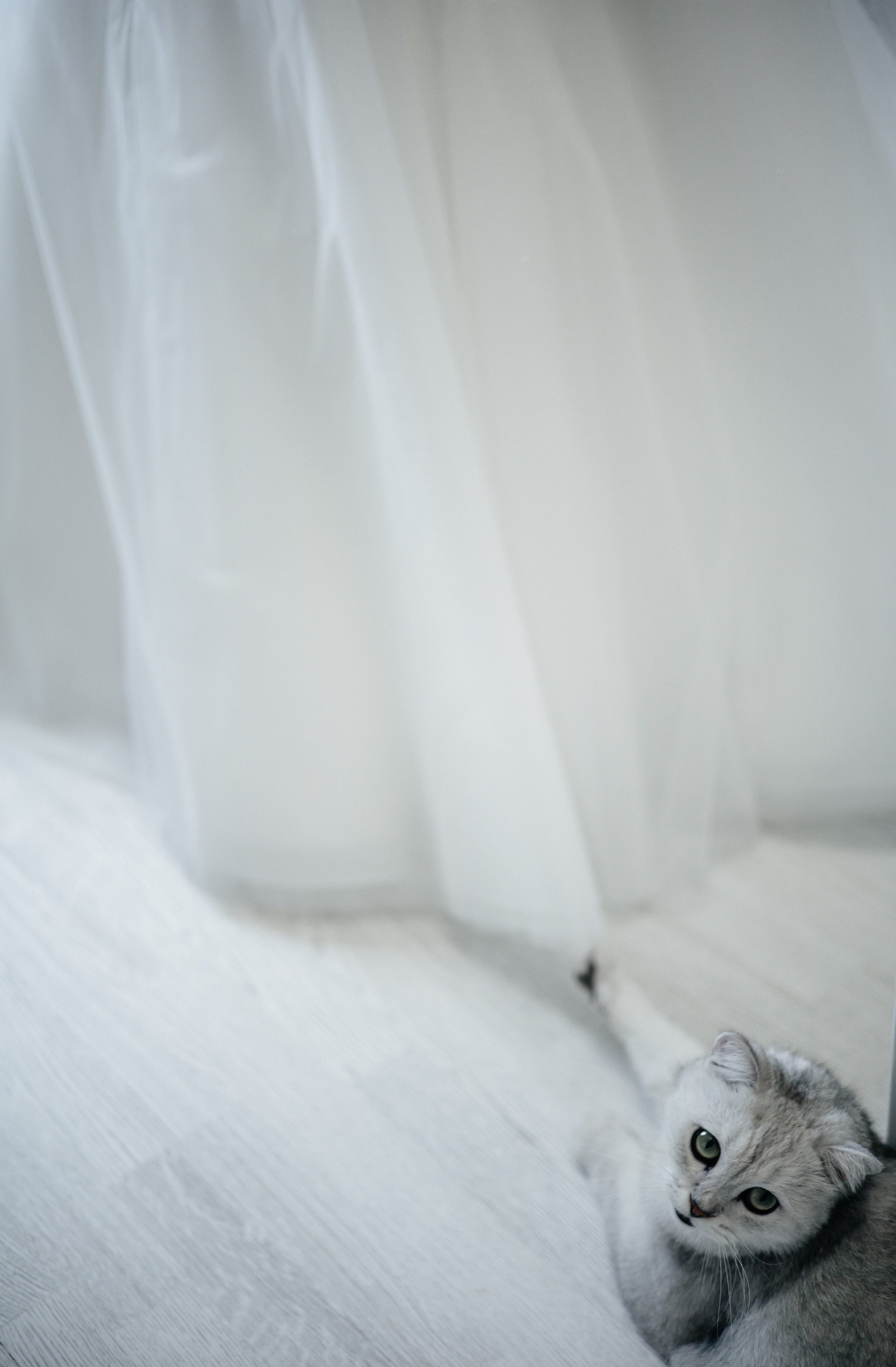 Татьяна и Павел. Главная