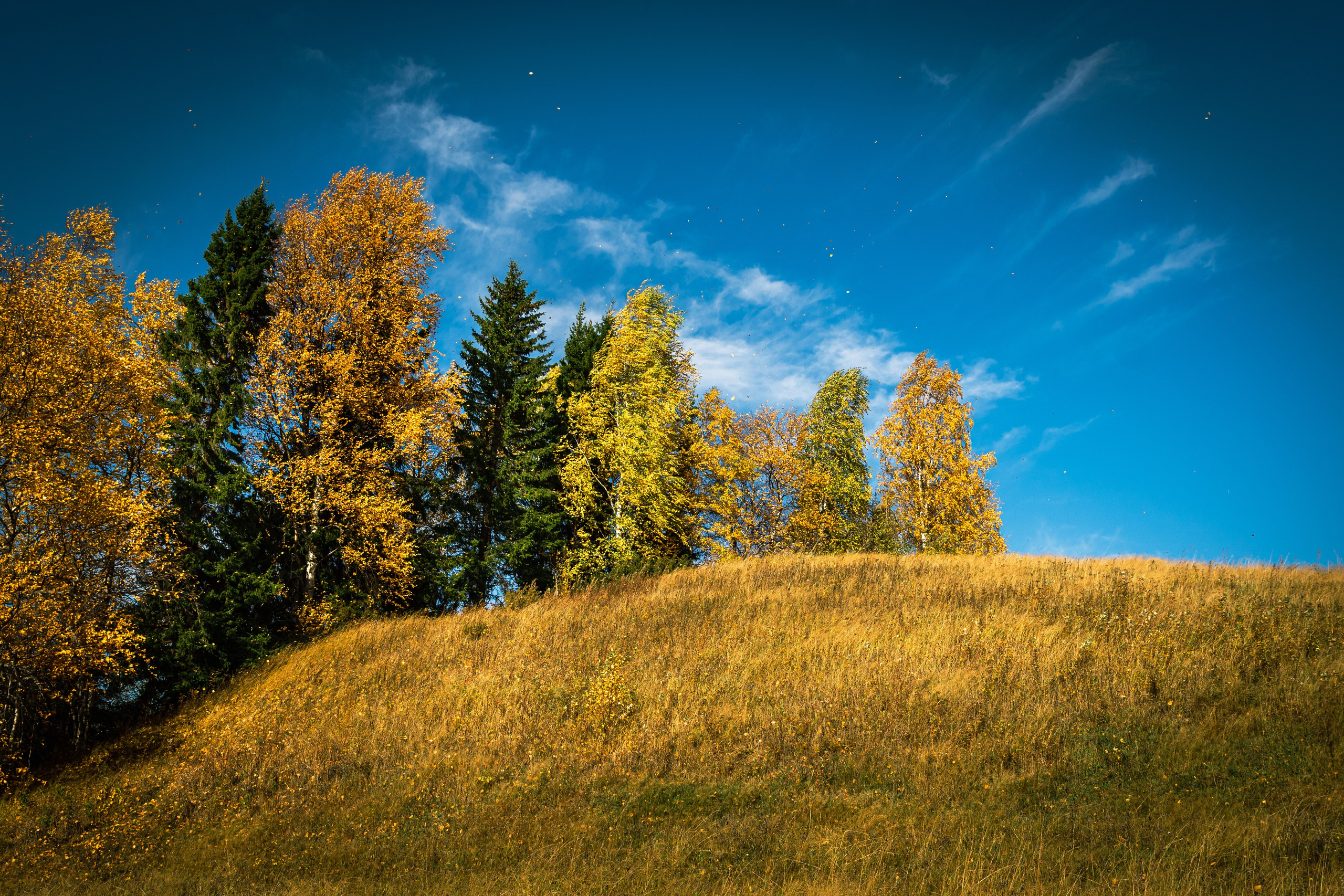 Осень. Фотограф в с. Ижма Республика Коми Терентьев Сергей