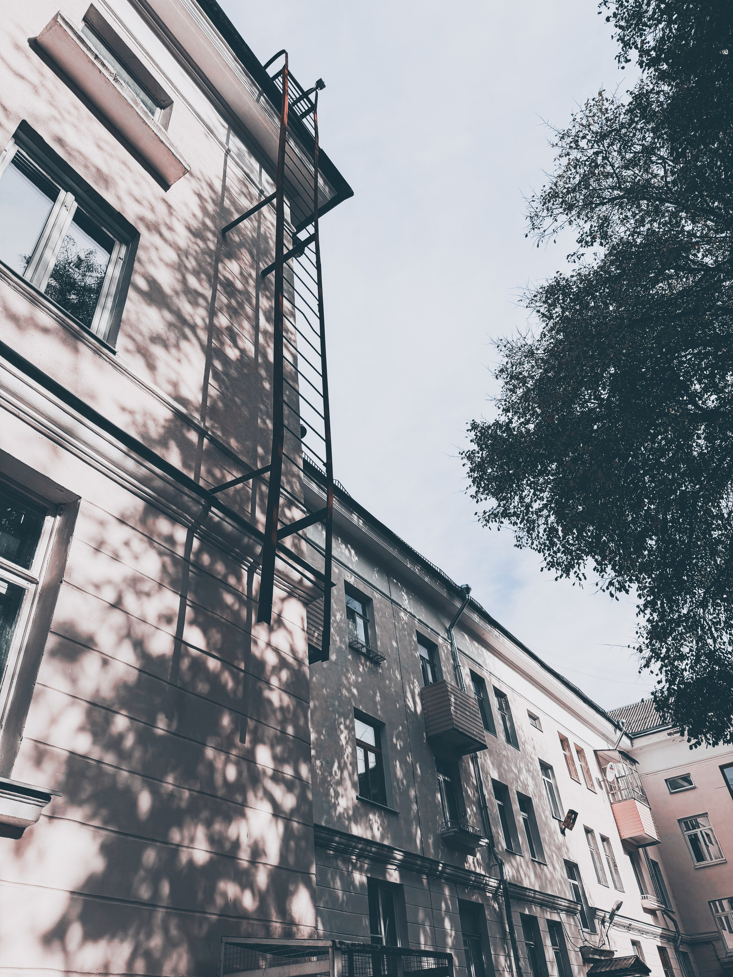 Уличный. Фотограф Арсений Королев