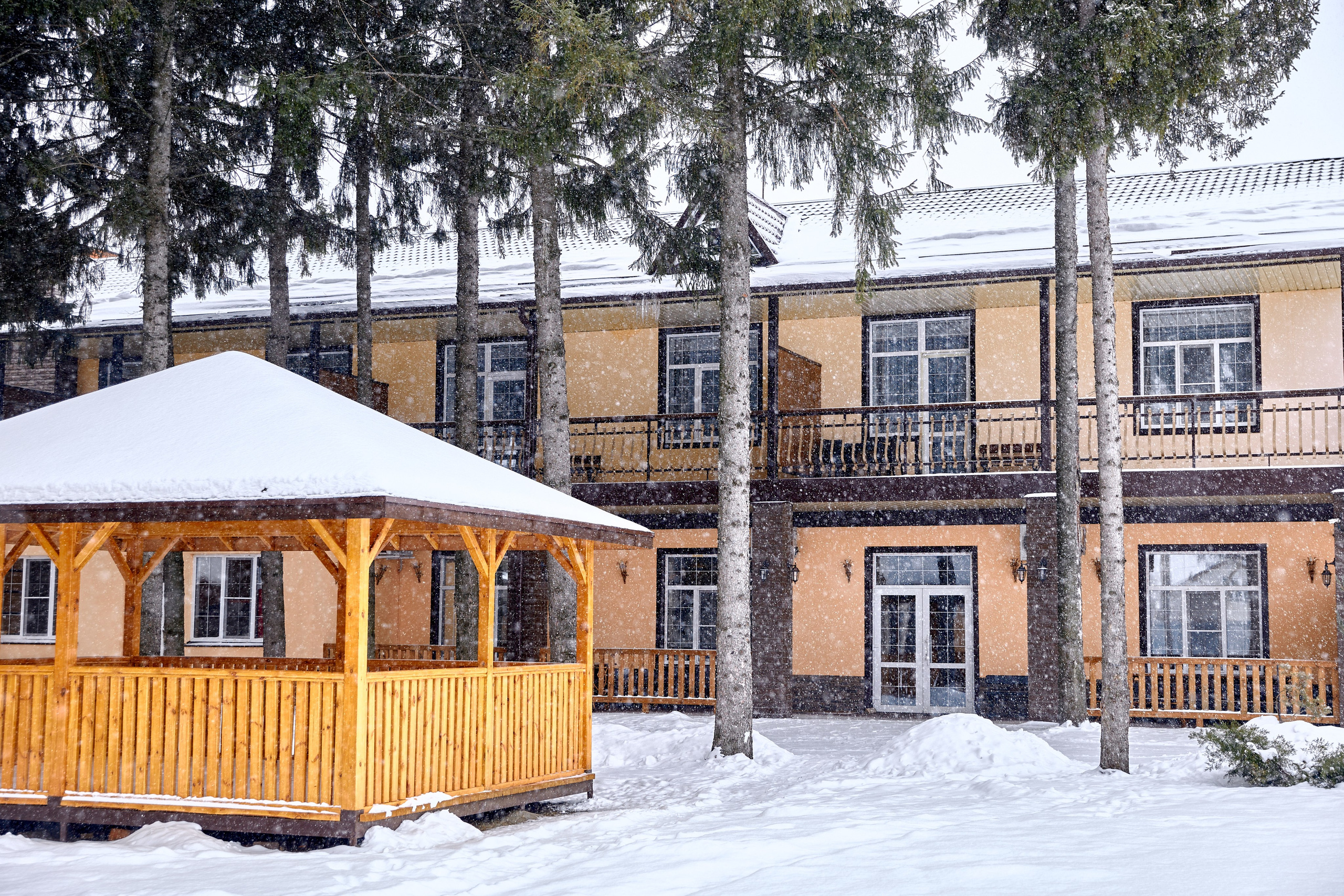 Кафе. Фотограф Александр Казин