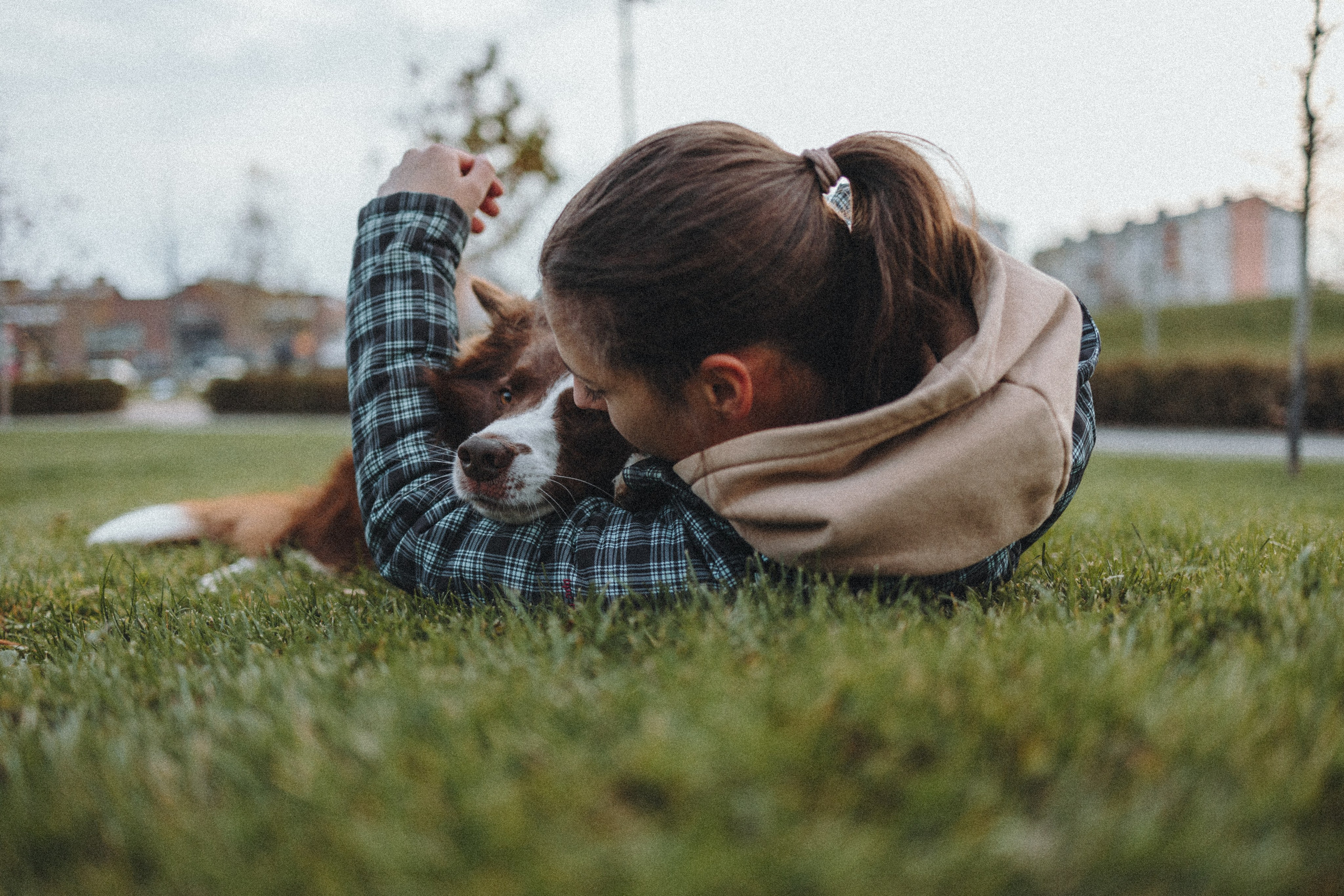 Маша и Тори. Фотограф — анималист Светлана Кысса|фотограф собак в Краснодаре и Нижнем Новгороде