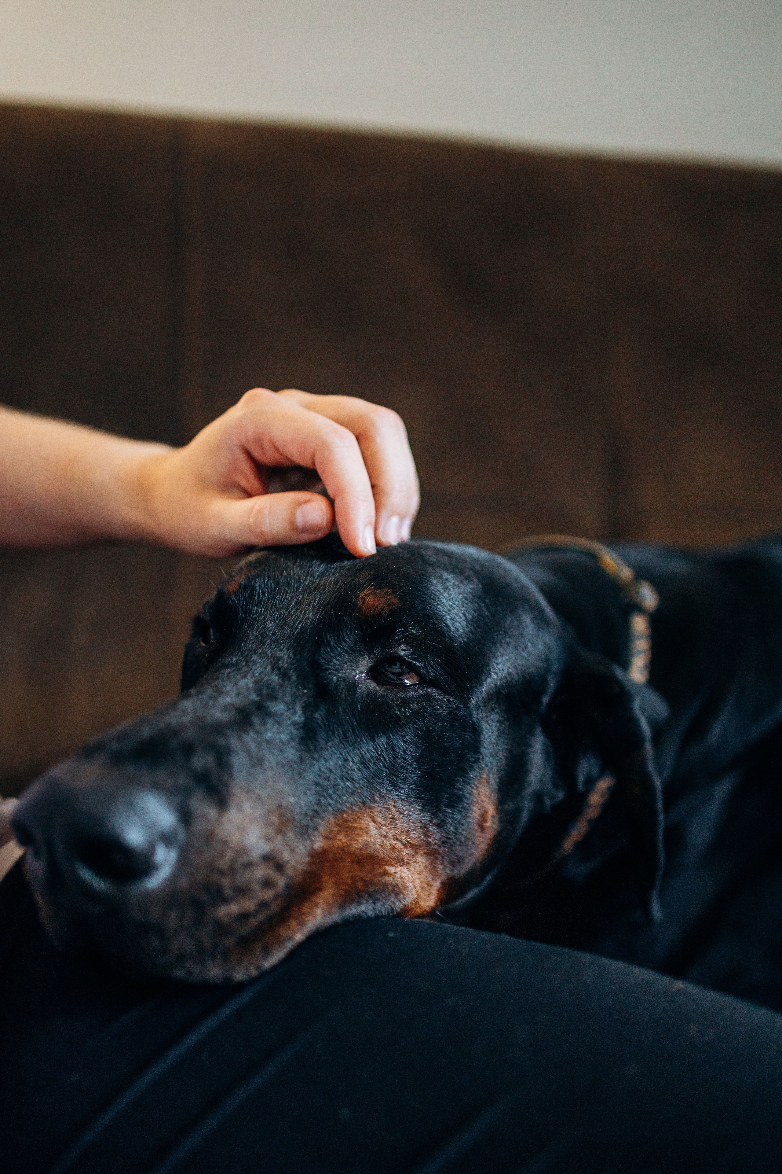 Катя и Конор