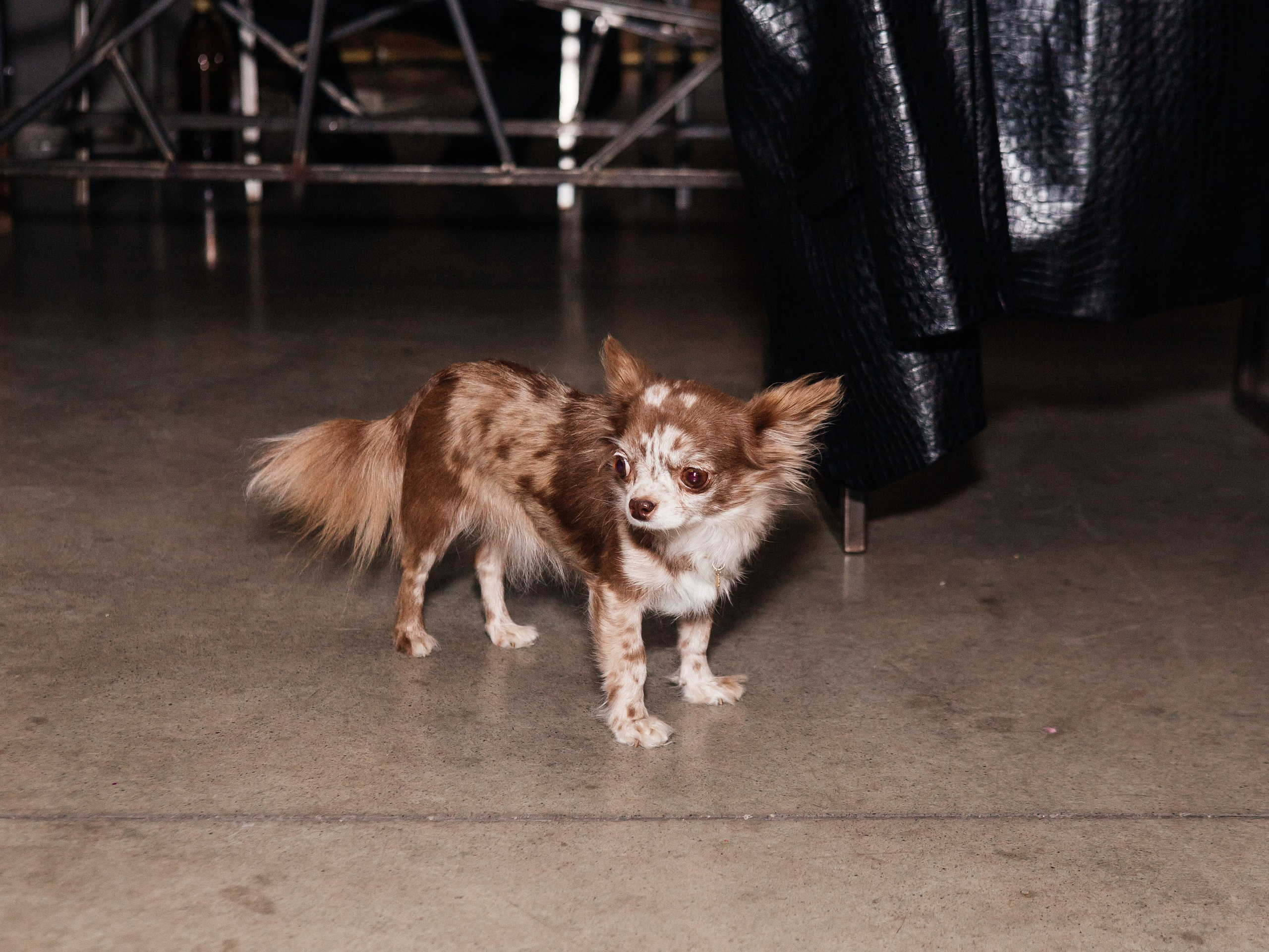 Паутина|Гендер-пати. Свадебный фотограф Челябинск Зиненко Виктория
