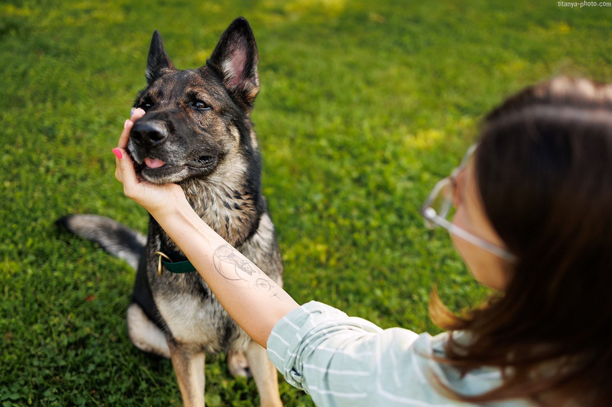 Фотосессии для Вас и Ваших четвероногих любимцев. Фотограф собак, фотограф-анималист Аня Титова (Titanya). Москва