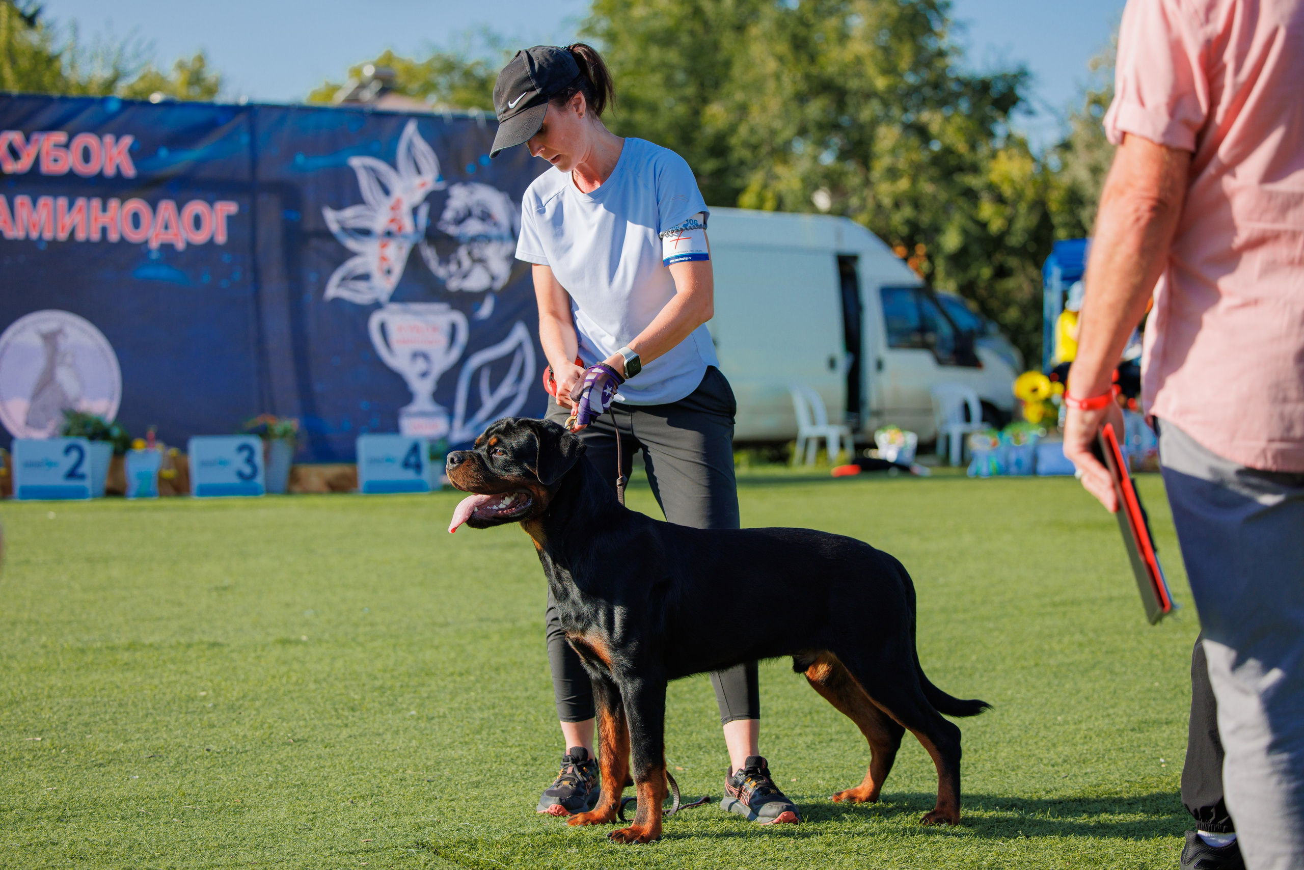 Анапа ротвейлеры 14-15.09.2024. Фотограф-анималист Юлия Германика