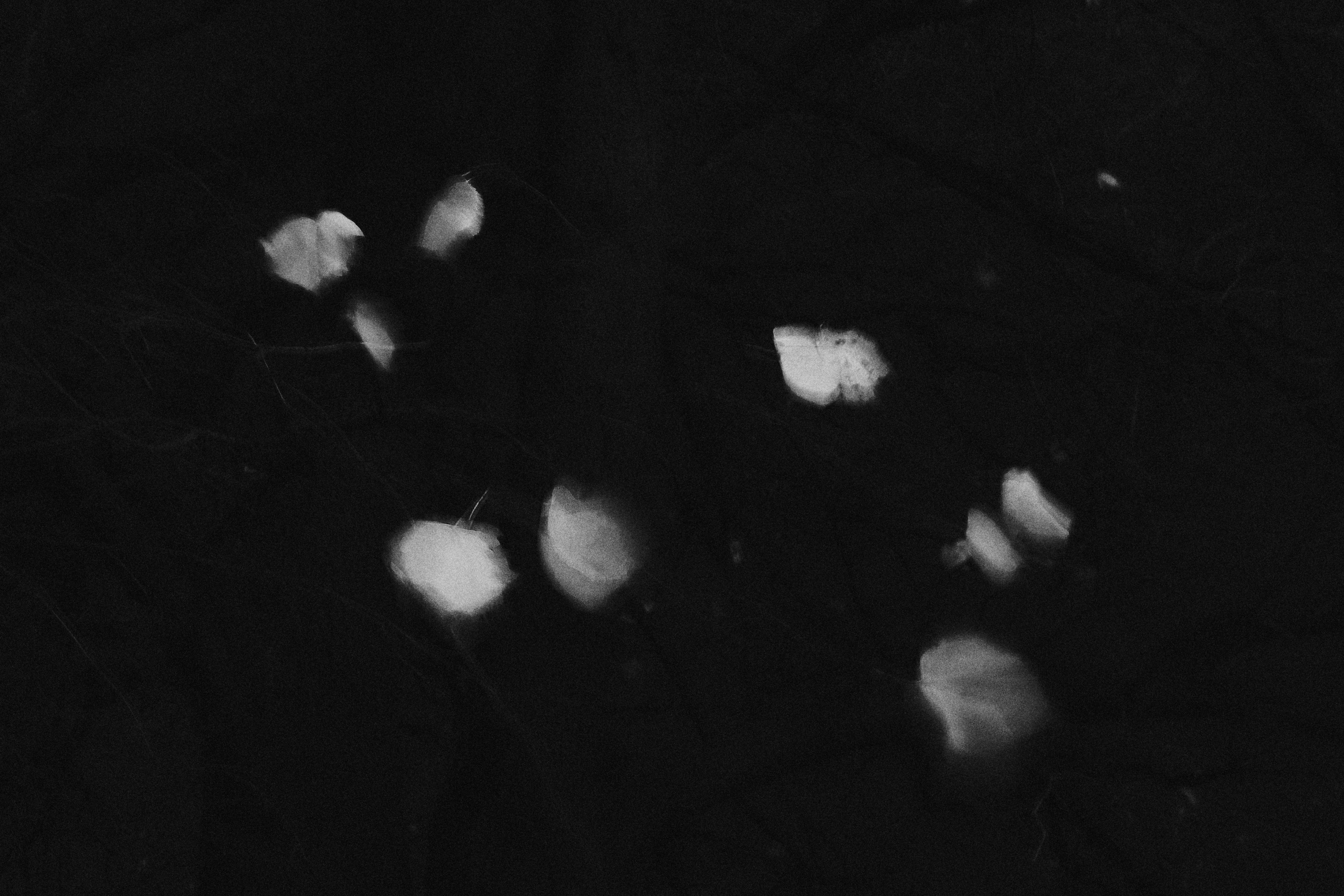 Москва в ЧБ. 23-24. Фотограф и оператор мероприятий, концертов и портретов в городе Москва