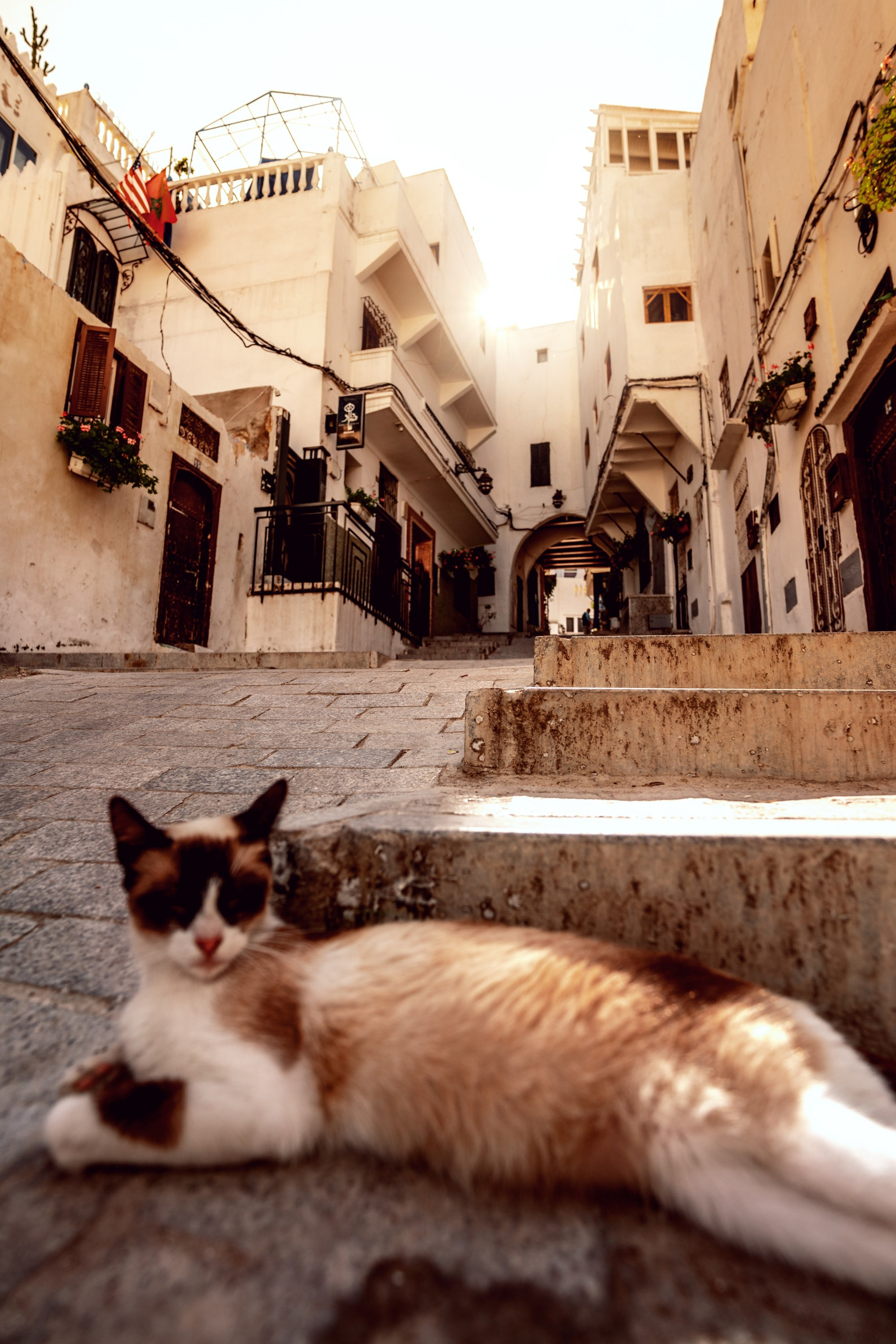 Северная Африка: Тунис, Марокко. Фотограф в Хабаровске. Фотография за 24 часа