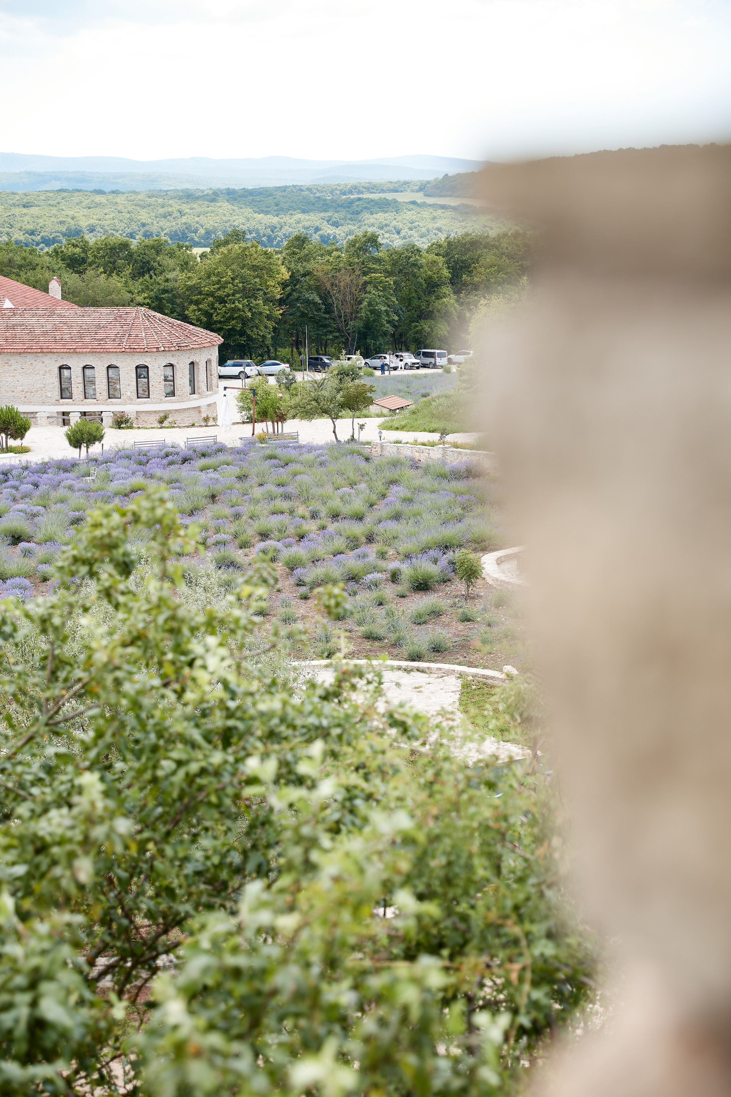 ОДНА ВИНОДЕЛЬНЯ. Репортажный и мужской фотограф в Краснодаре. Фотограф в Краснодаре