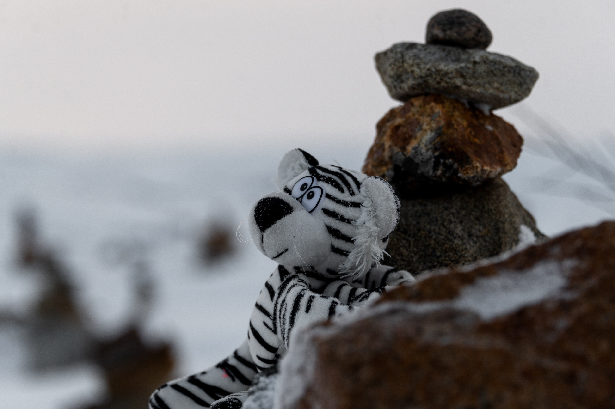 Териберка. Ноябрь 2023. Фотограф Роман Адлер