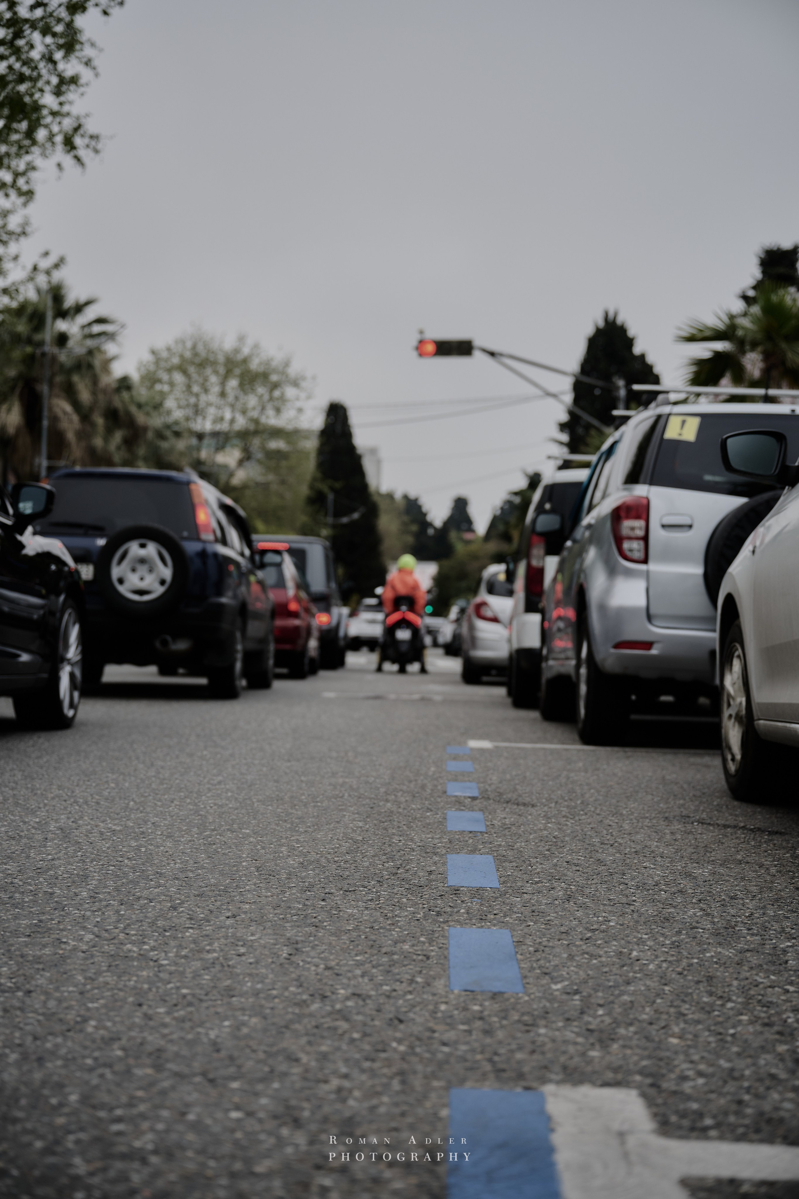 Сочи. Апрель 2025. Фотограф Роман Адлер