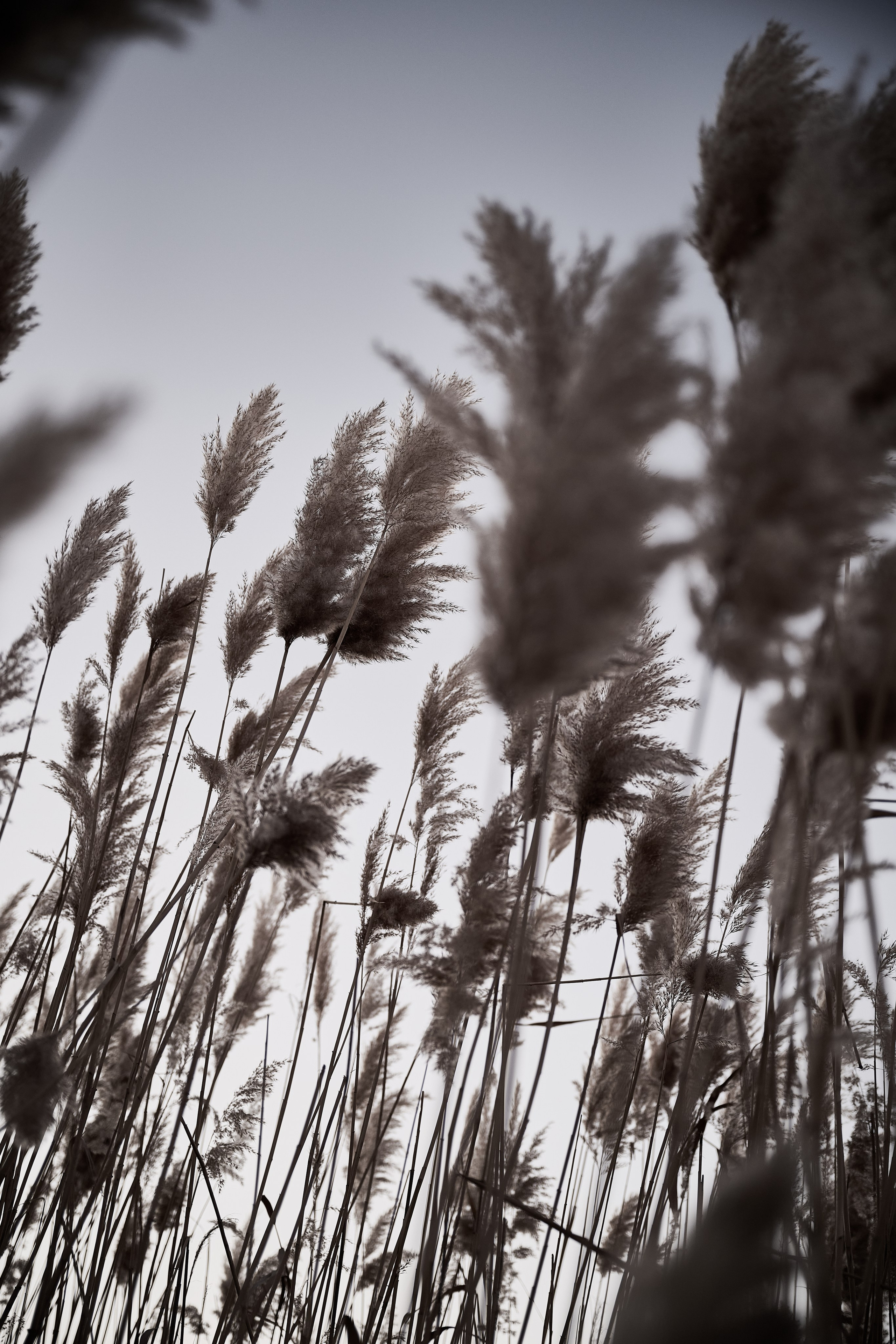 Дороги Территорий. Фотограф Роман Адлер