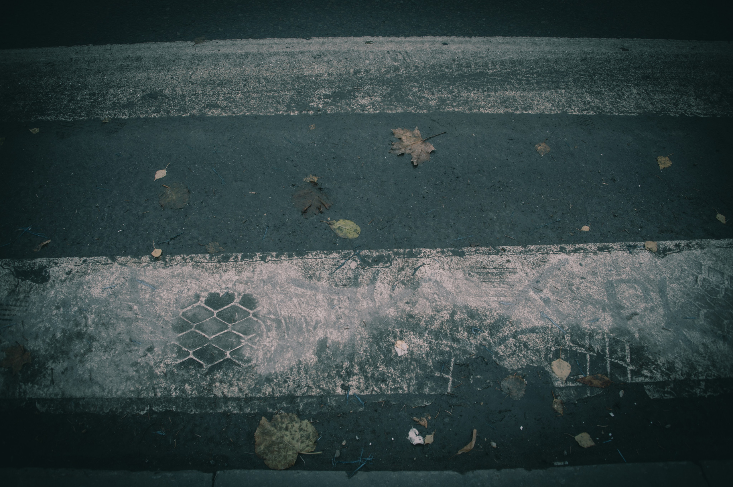 Пенза. Ноябрь 2023. Фотограф Роман Адлер