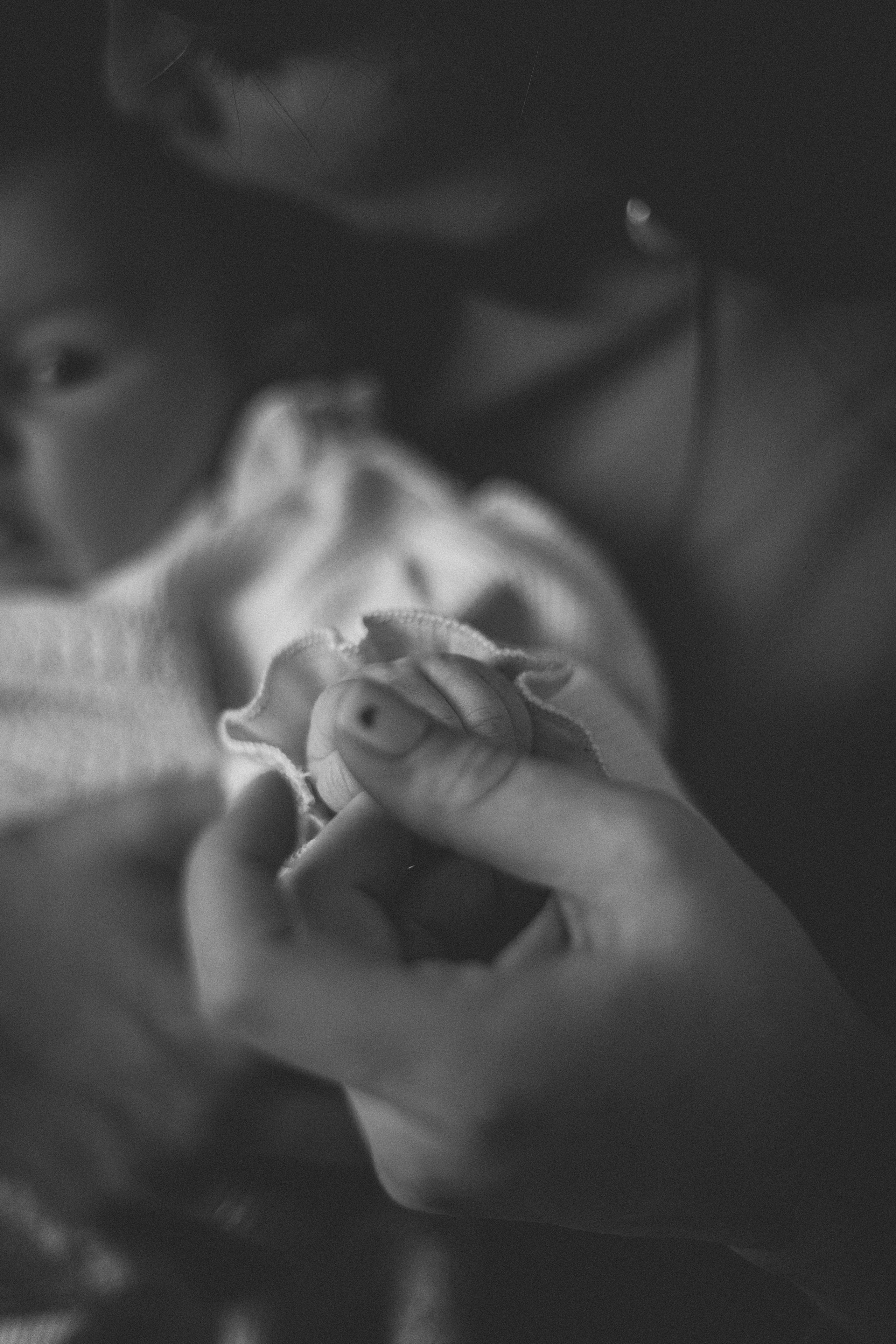 HOME. Фотограф и Видеограф в Москве Дарья Арсентьева