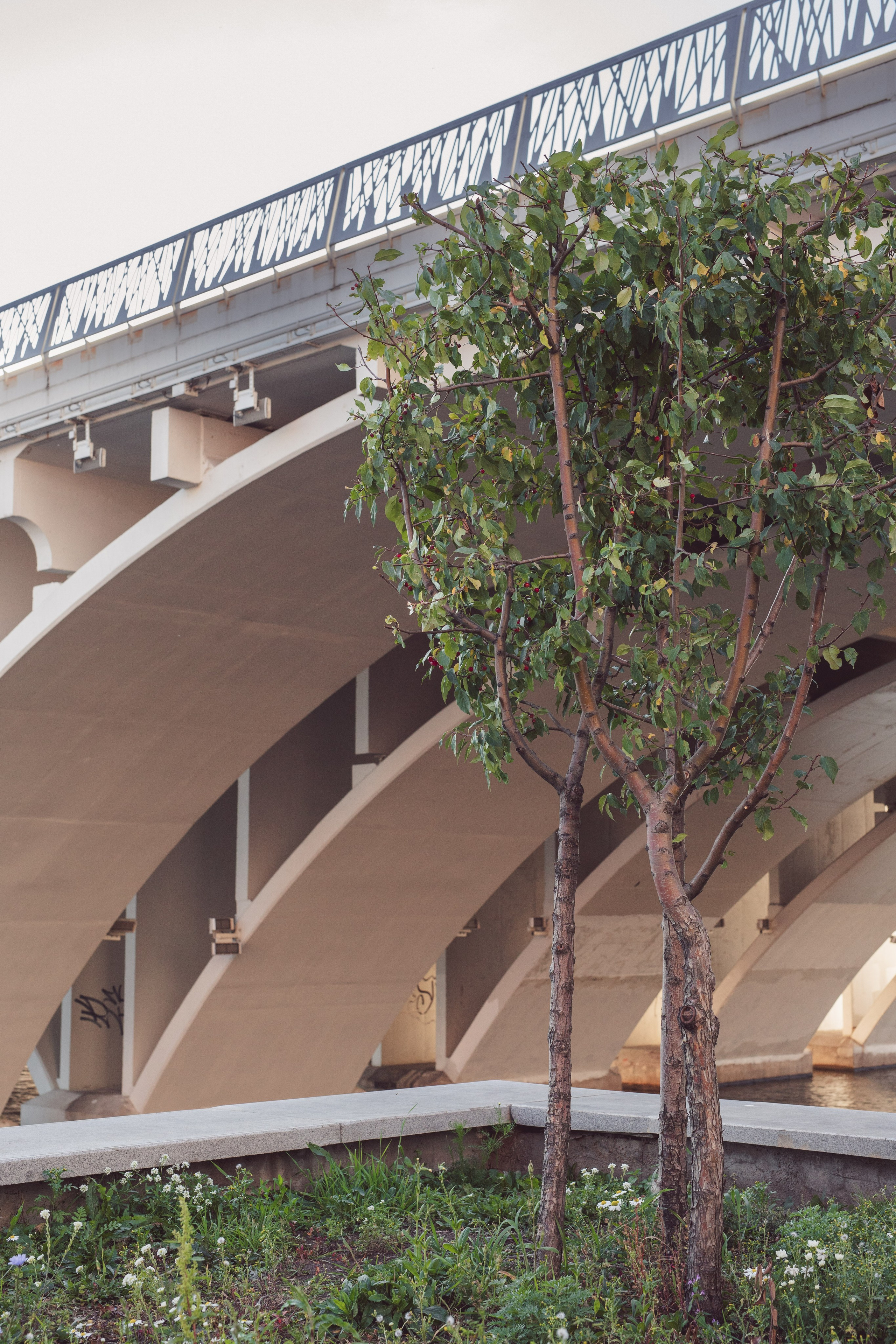 Семья Келлер. Фотограф Анастасия Петрова