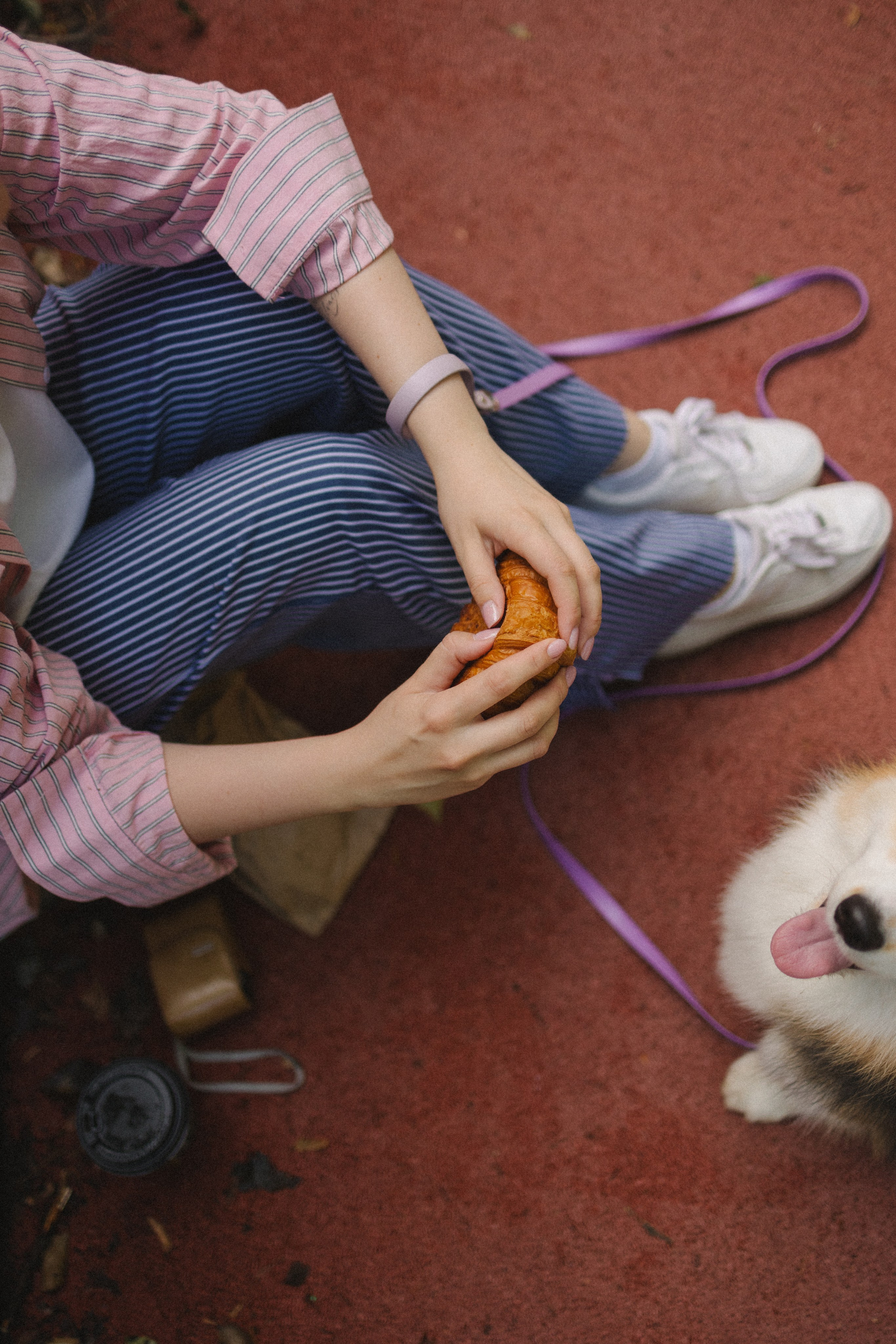 Мишель и Влада. Фотораф — анималист Мария Шистка