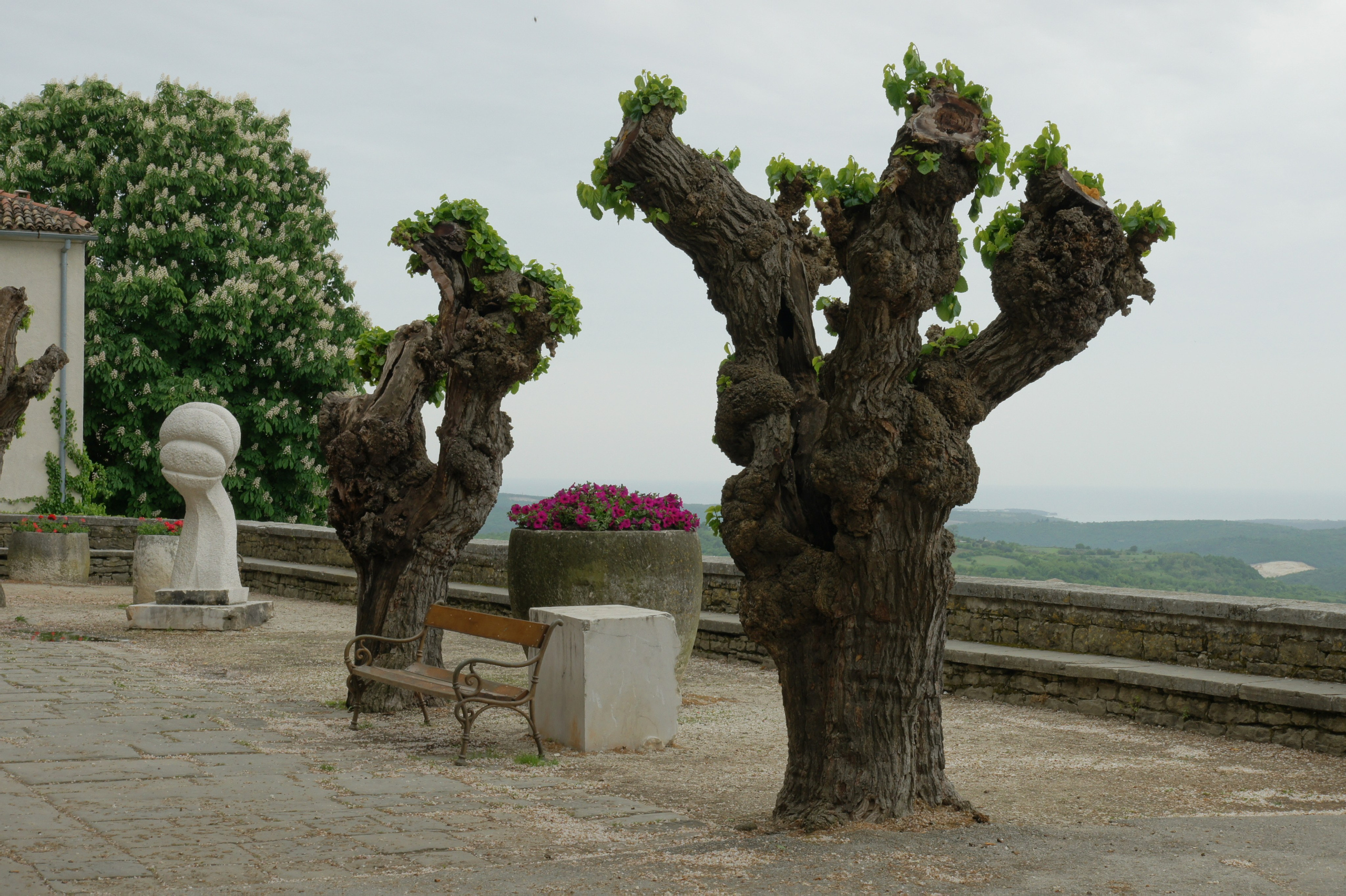 Хорватия. Главная