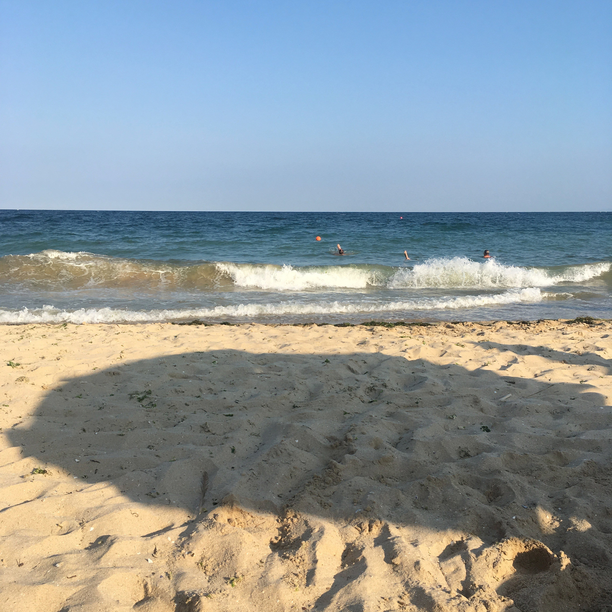 Болгария. Главная