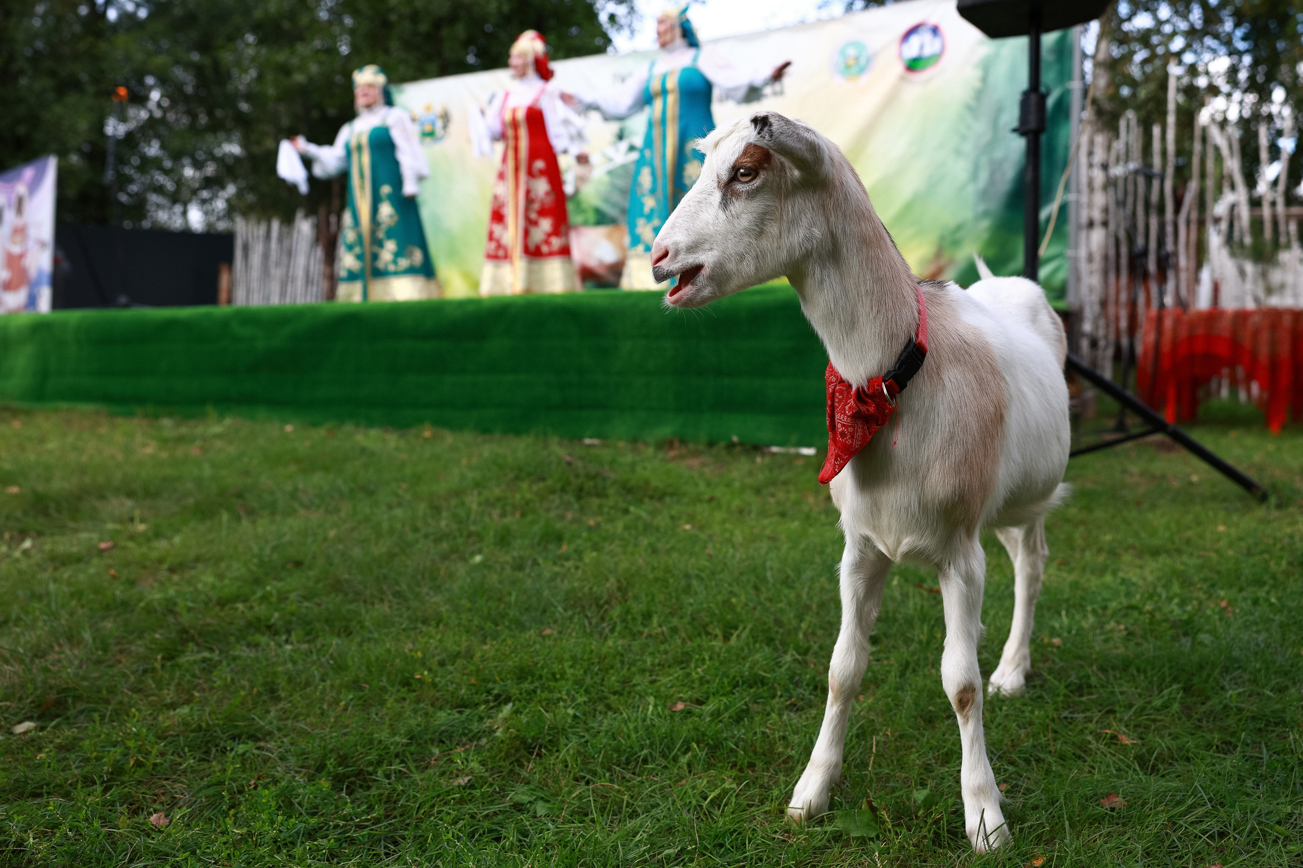 Праздник народов крайнего севера. MIG — студия спортивной фотографии Михаила Голянского