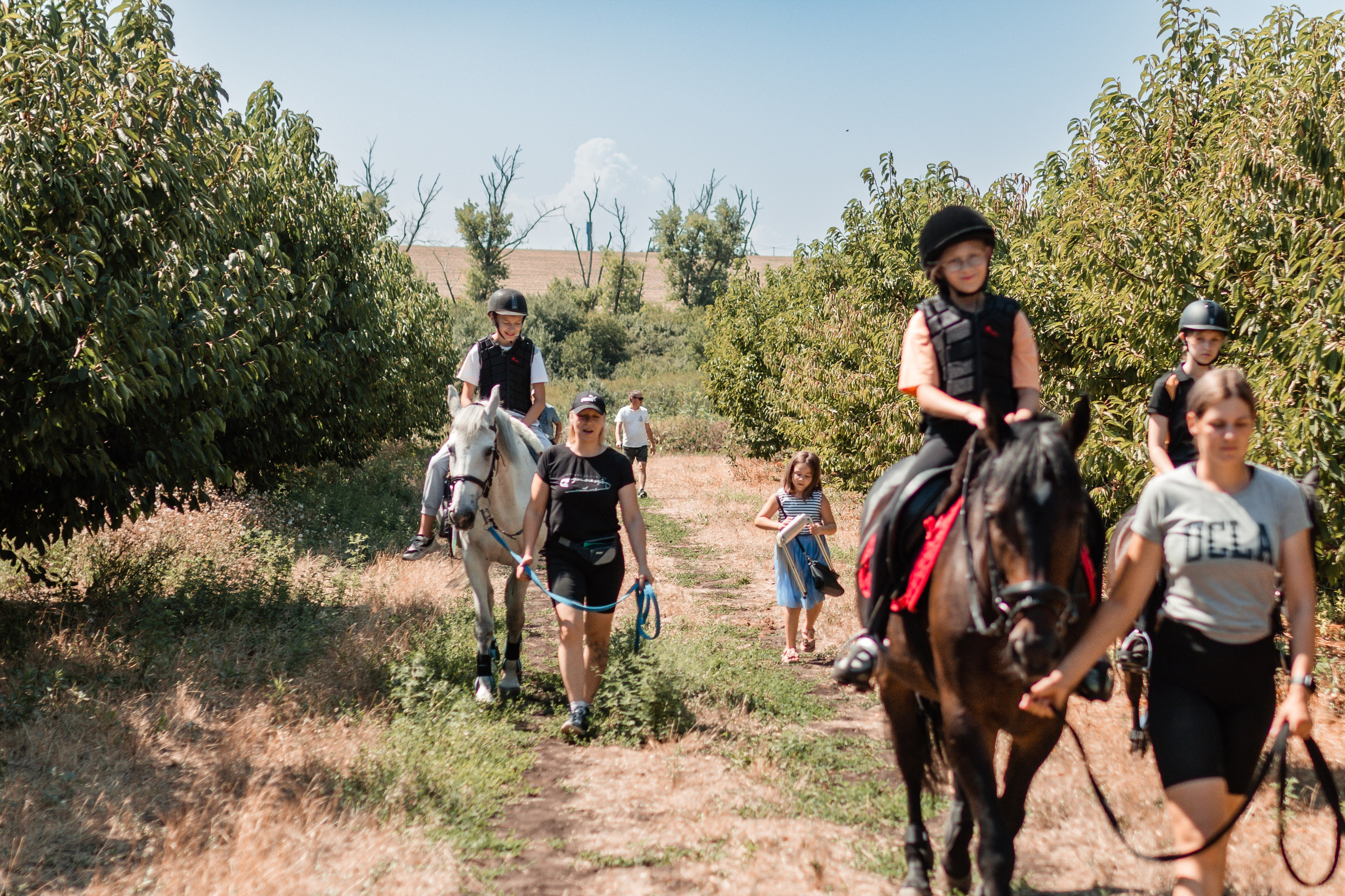 Выезды в поля на лошади