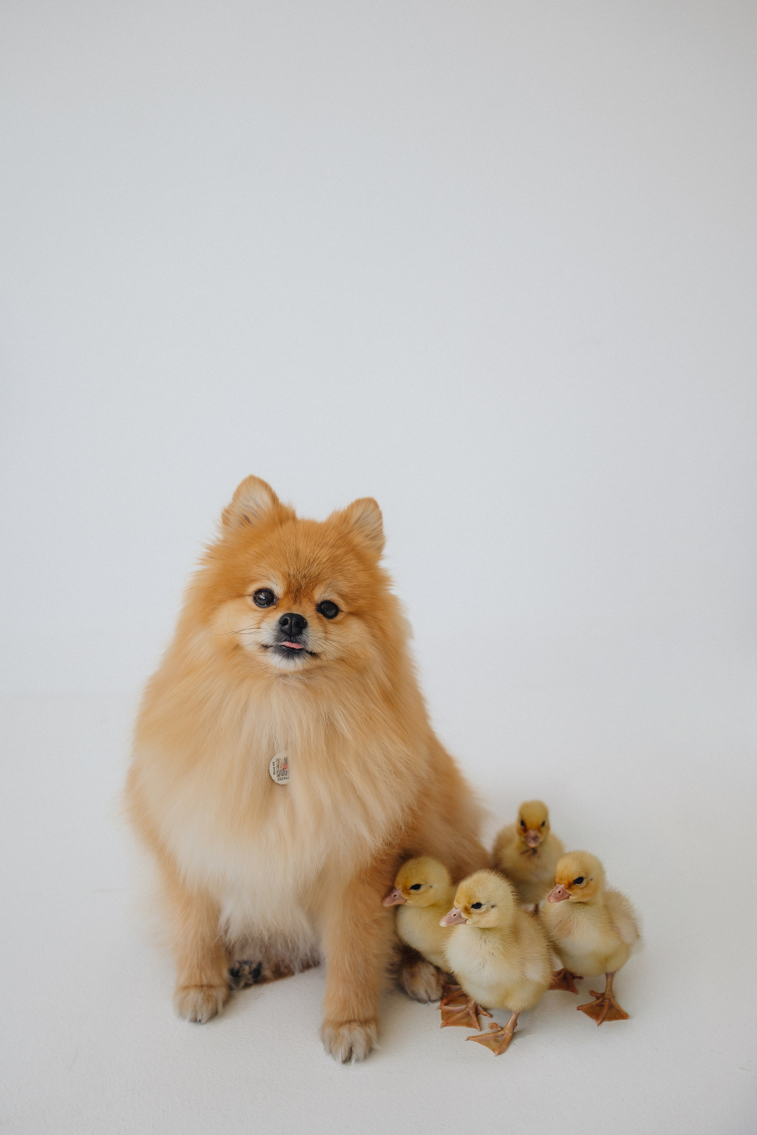 Маленькие чудеса. Семейный фотограф