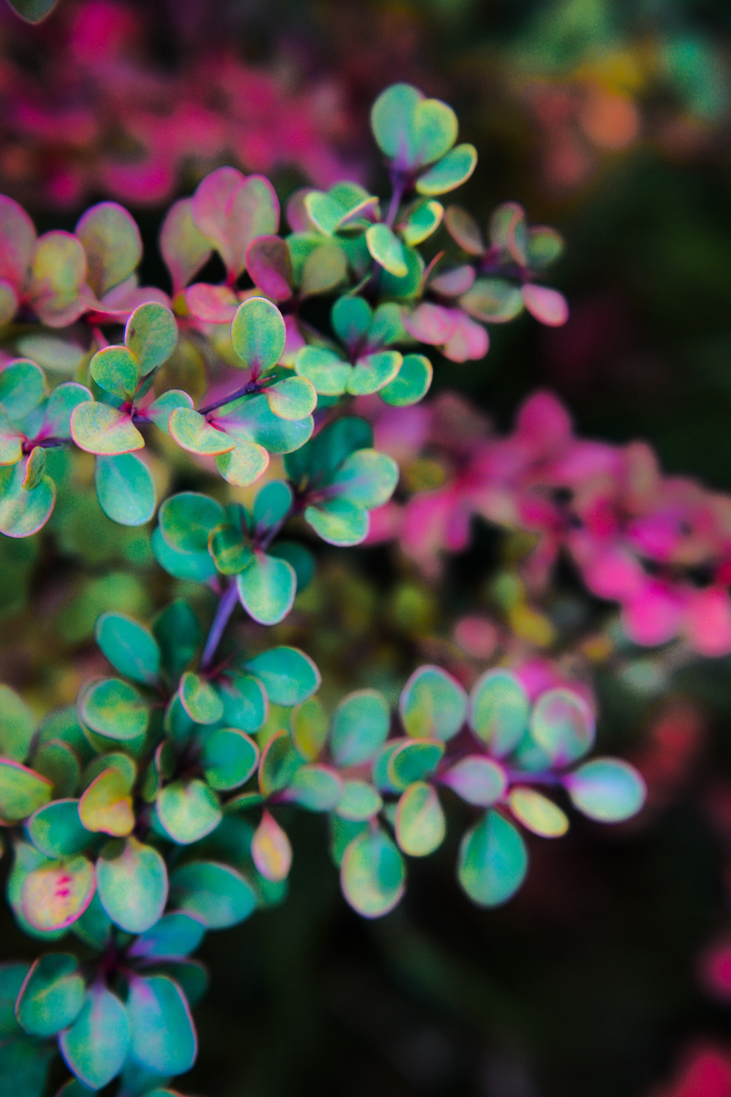 Осень 2025. Фотограф из Москвы — DASHA NOVA | Авторская фотография в разных жанрах