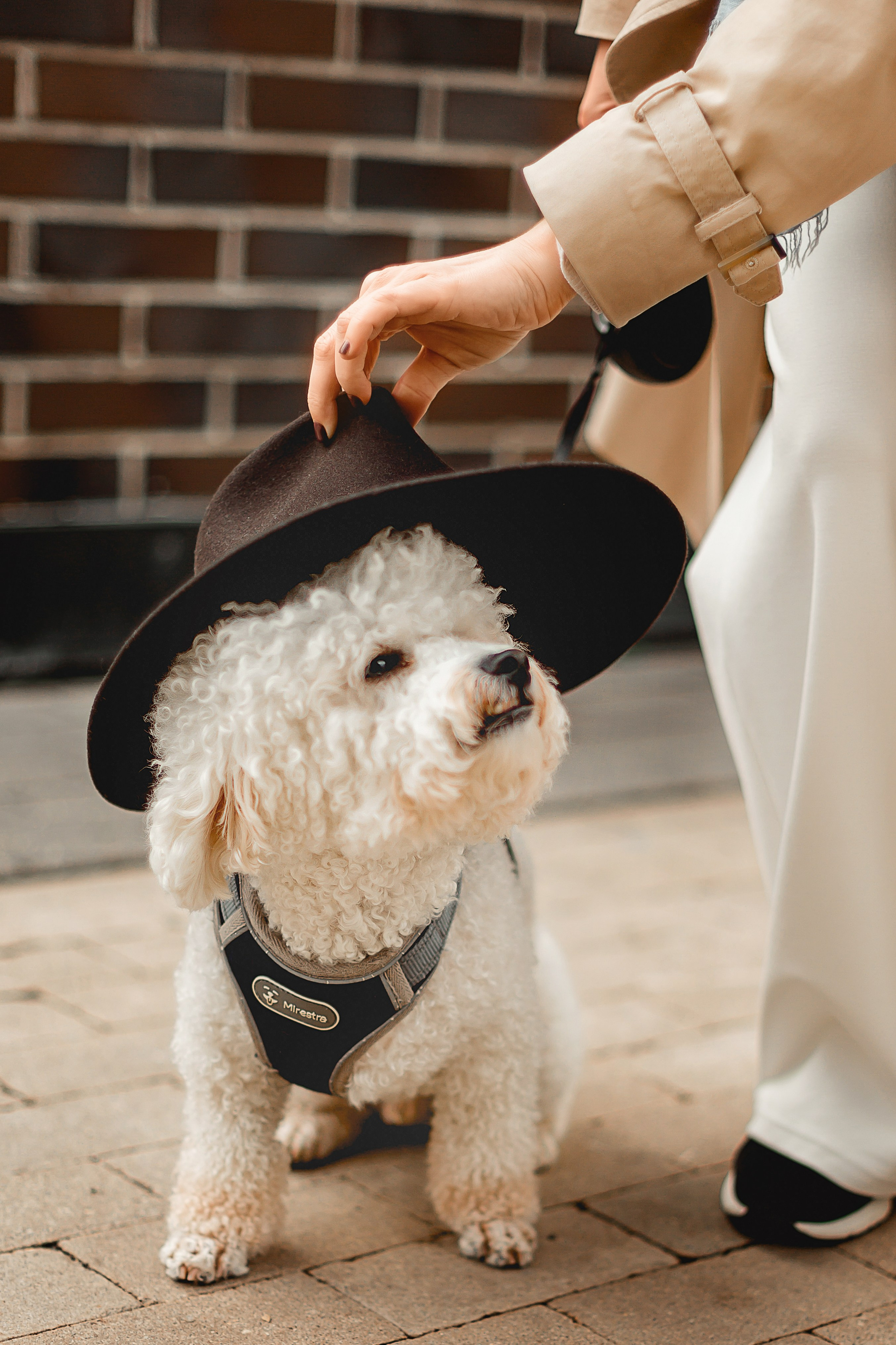 Прогулка по городу. Деловая и Бизнес съемка в  Москве Инесса Грушко