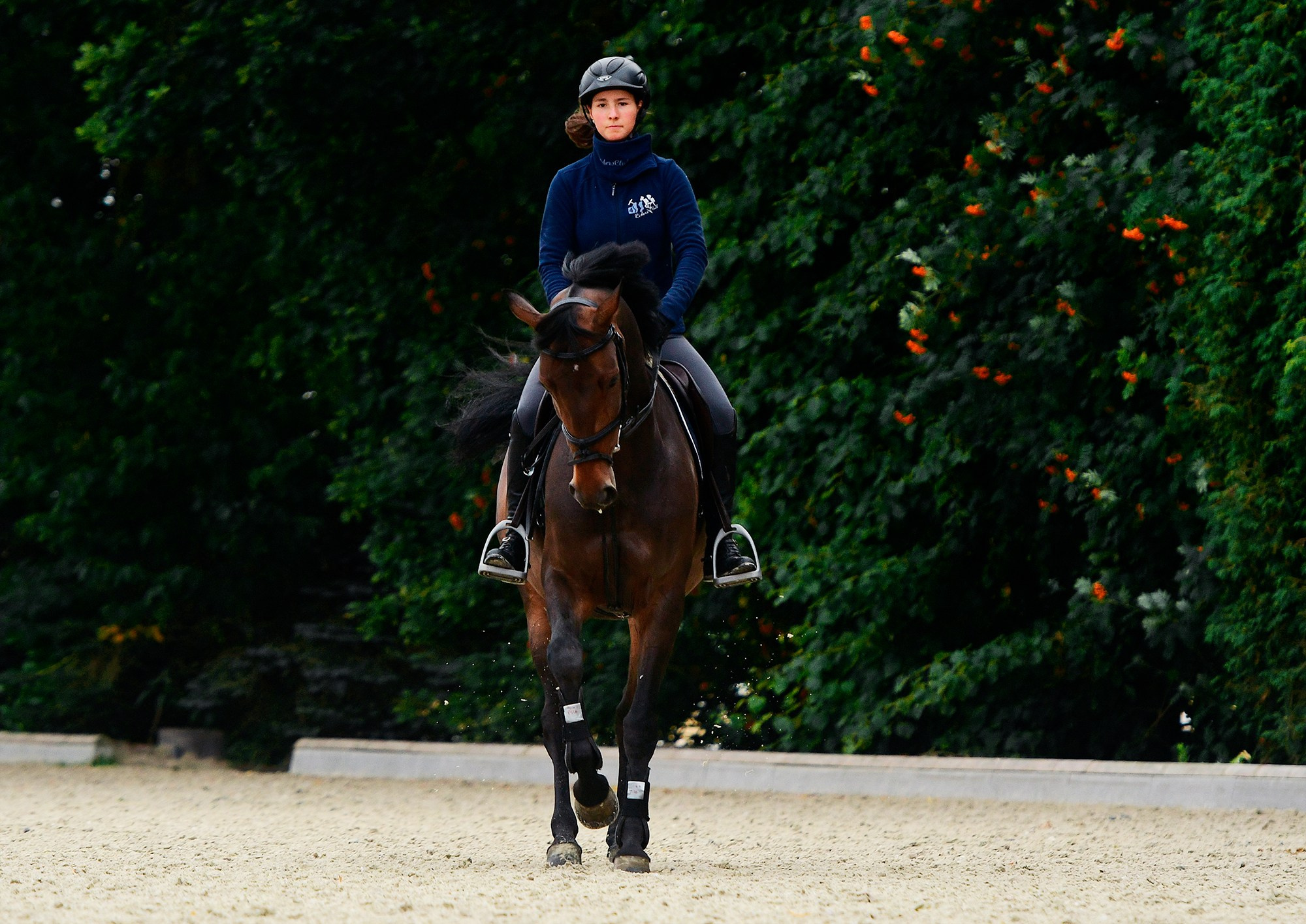 ЕС. Конный фотограф Alesya Safe