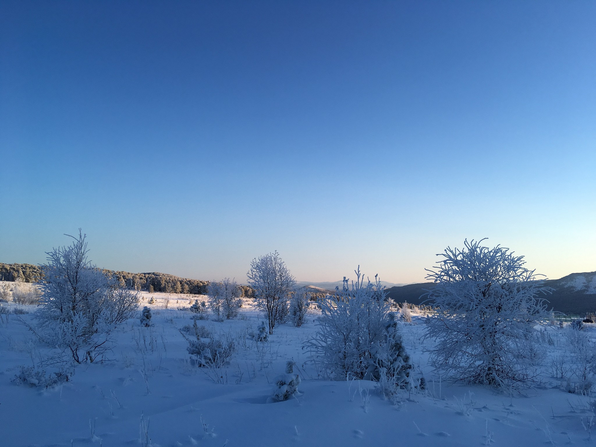 Семинский перевал. Фотограф Эдуард Алмадаков