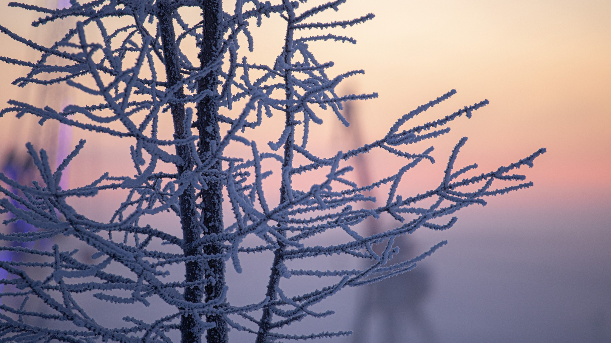 Дудинка -45 С. Фотограф Эдуард Алмадаков
