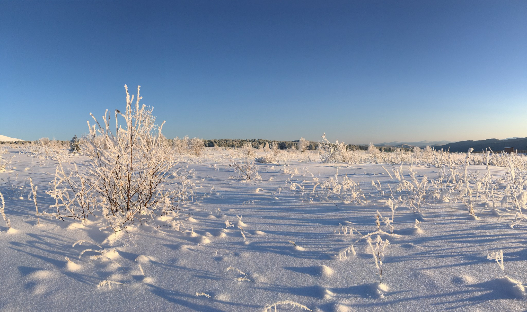 Семинский перевал зимой