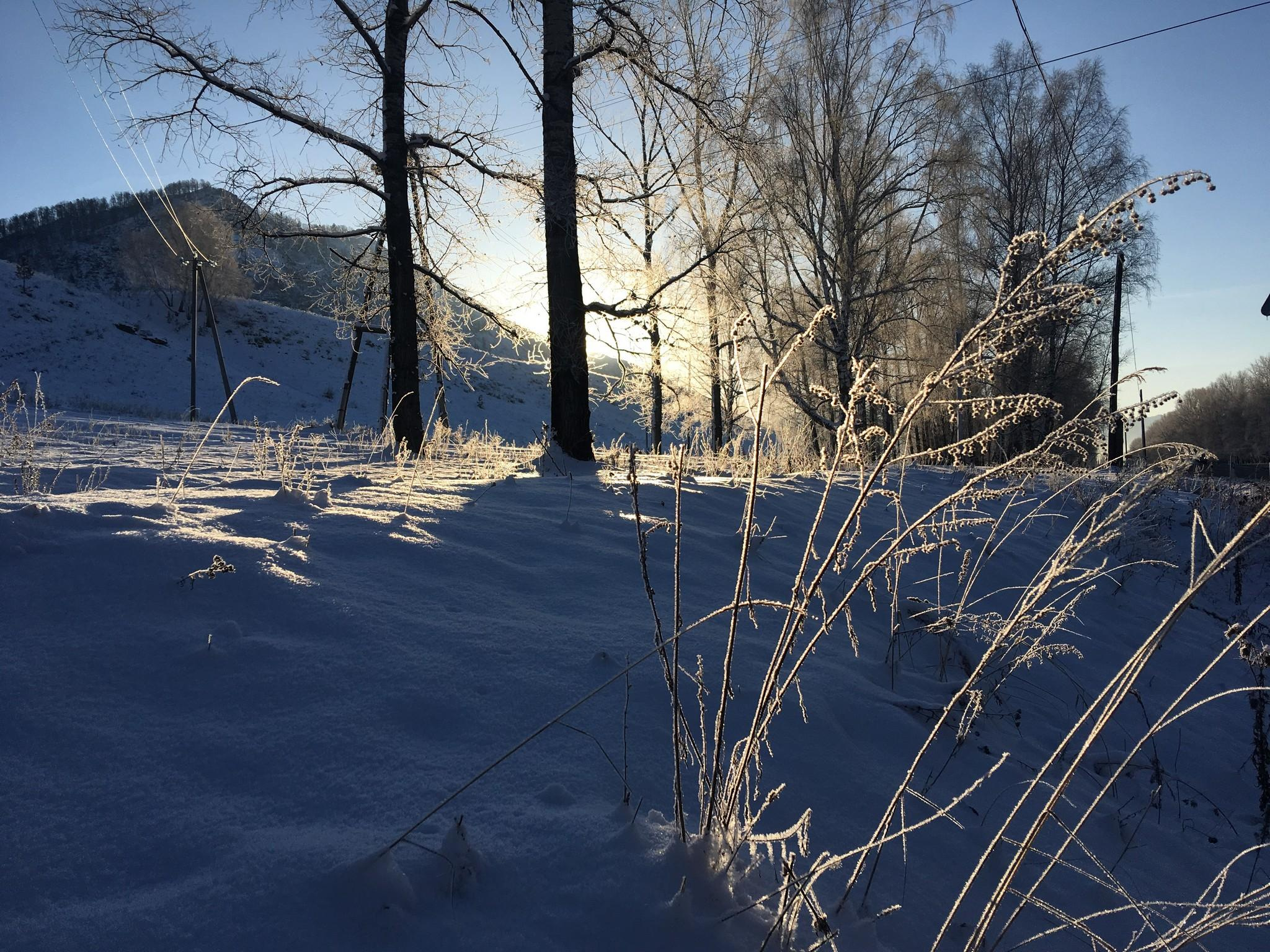 Зимний Чемал