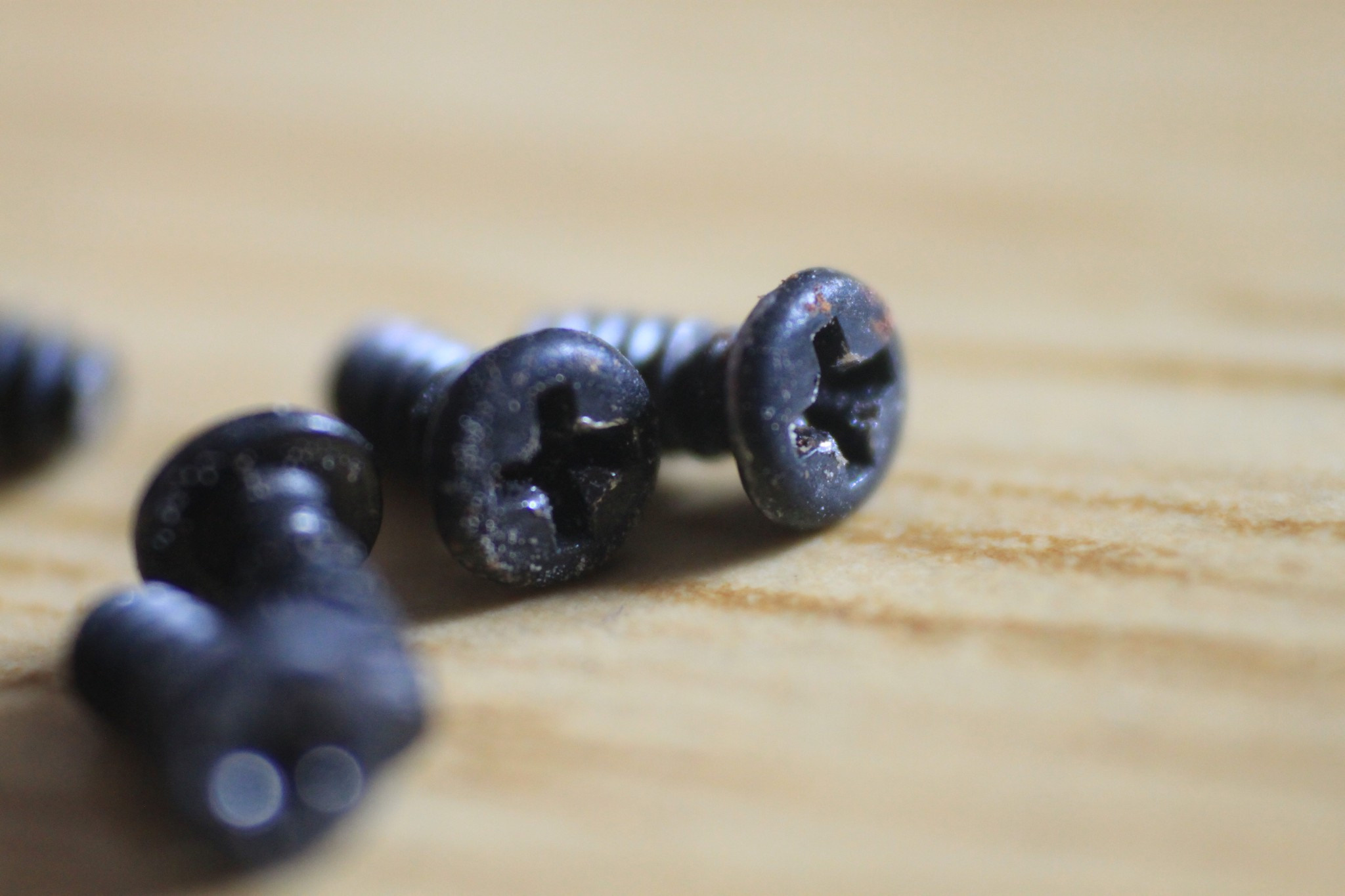 Макро. Фотограф Эдуард Алмадаков