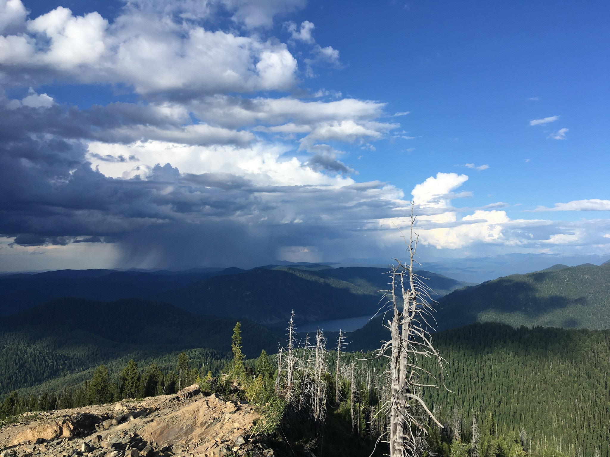 Золотое кольцо Алтая 2021 (iPhone7). Фотограф Эдуард Алмадаков