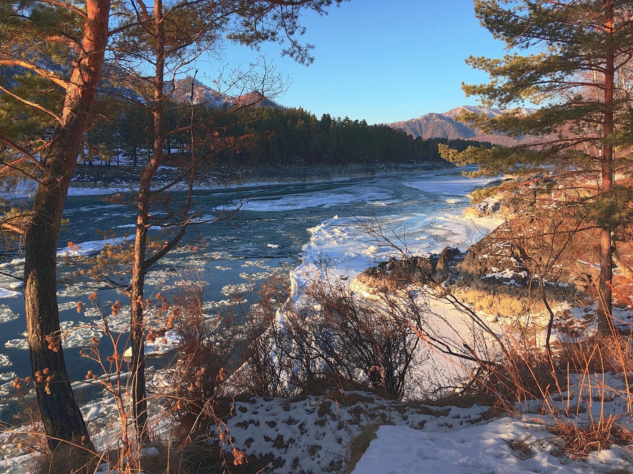 вид на р. Катунь у с. Эликманар