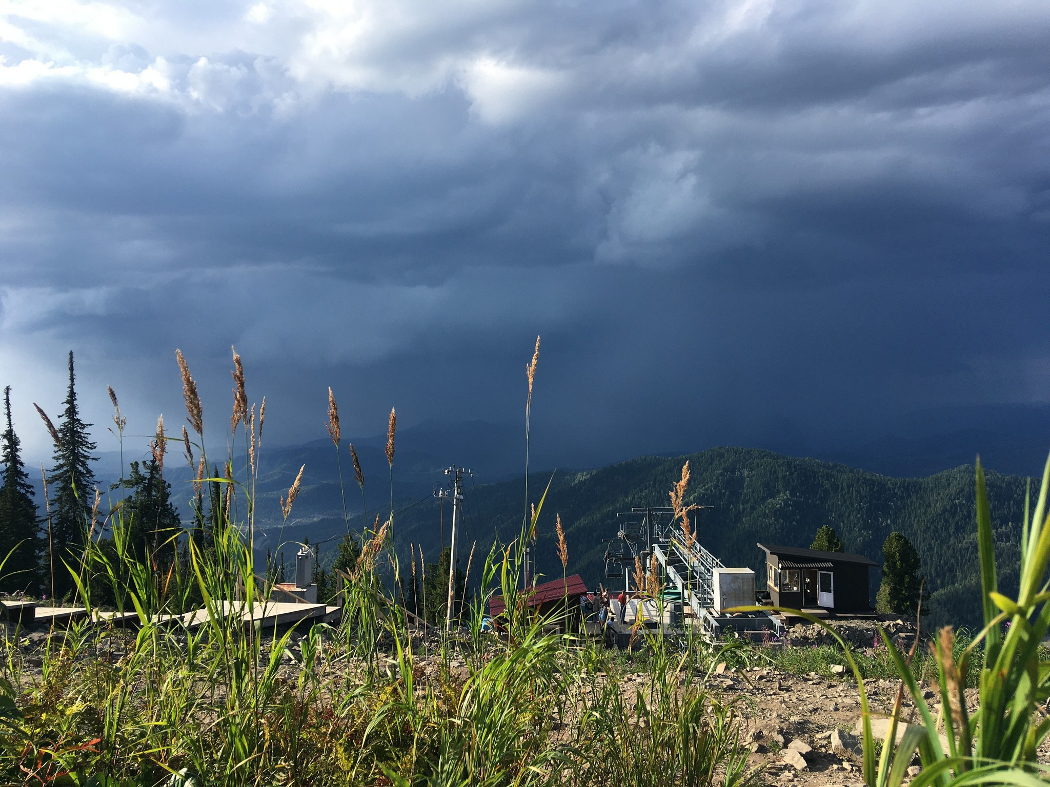 Золотое кольцо Алтая 2021 (iPhone7). Фотограф Эдуард Алмадаков