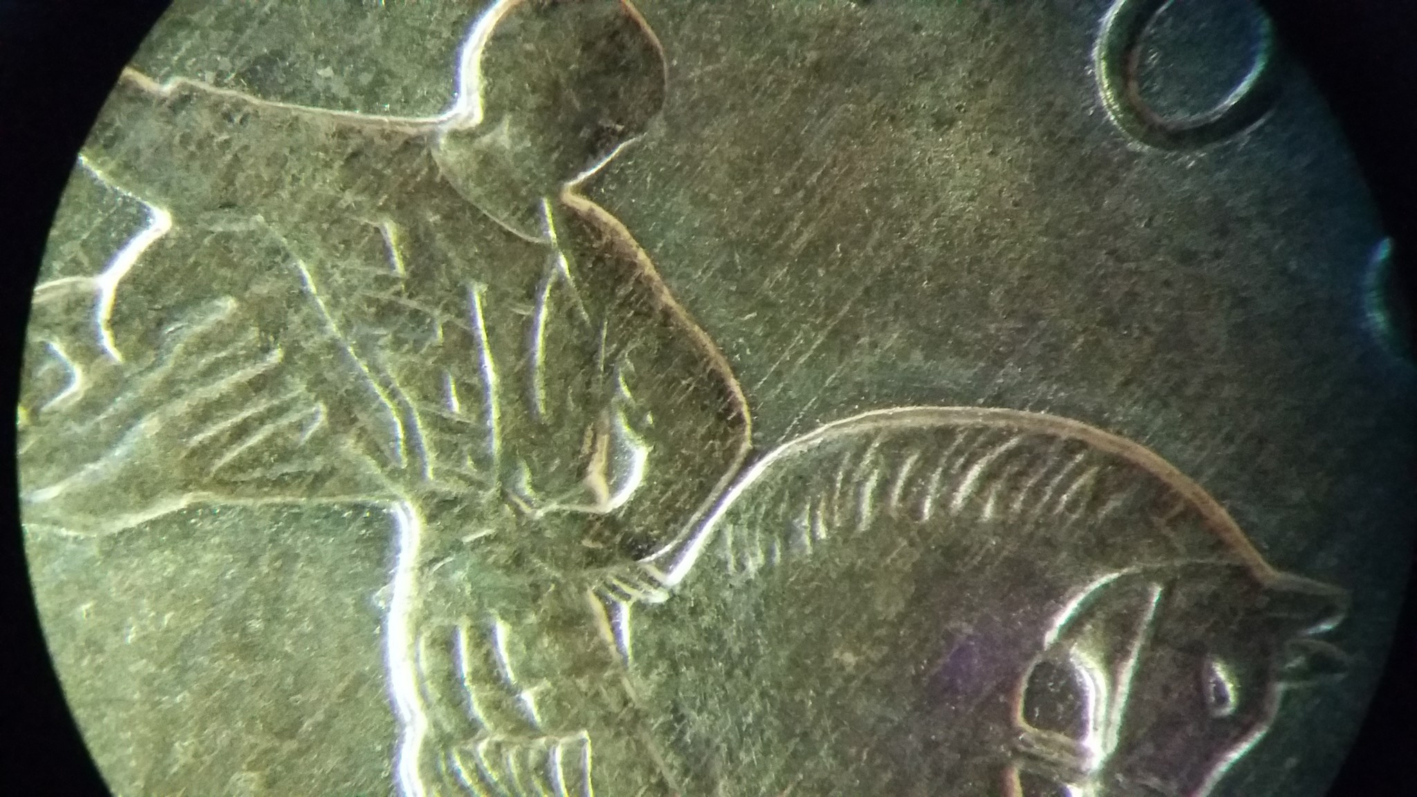 Макро. Фотограф Эдуард Алмадаков