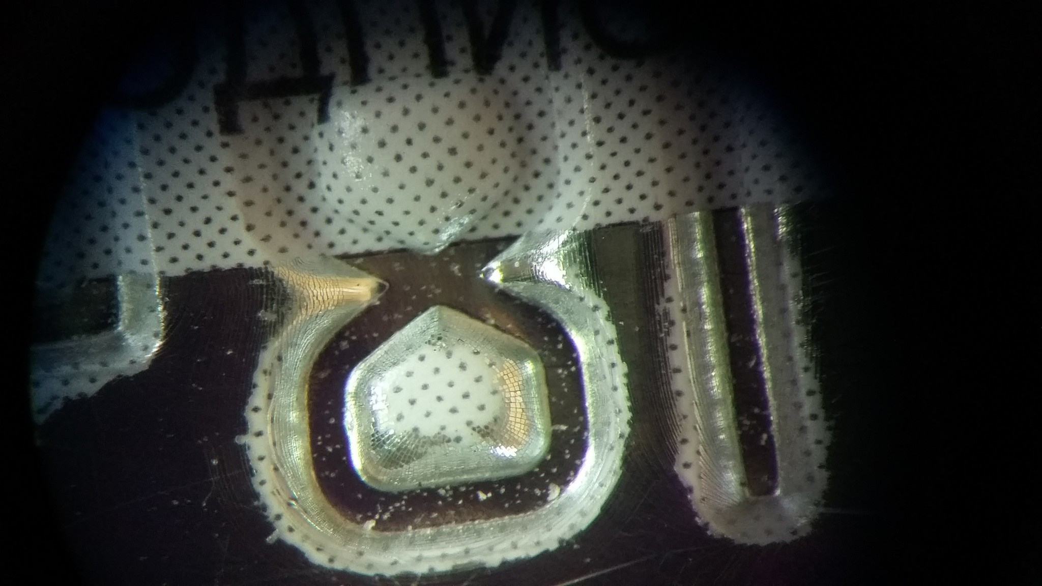 Макро. Фотограф Эдуард Алмадаков