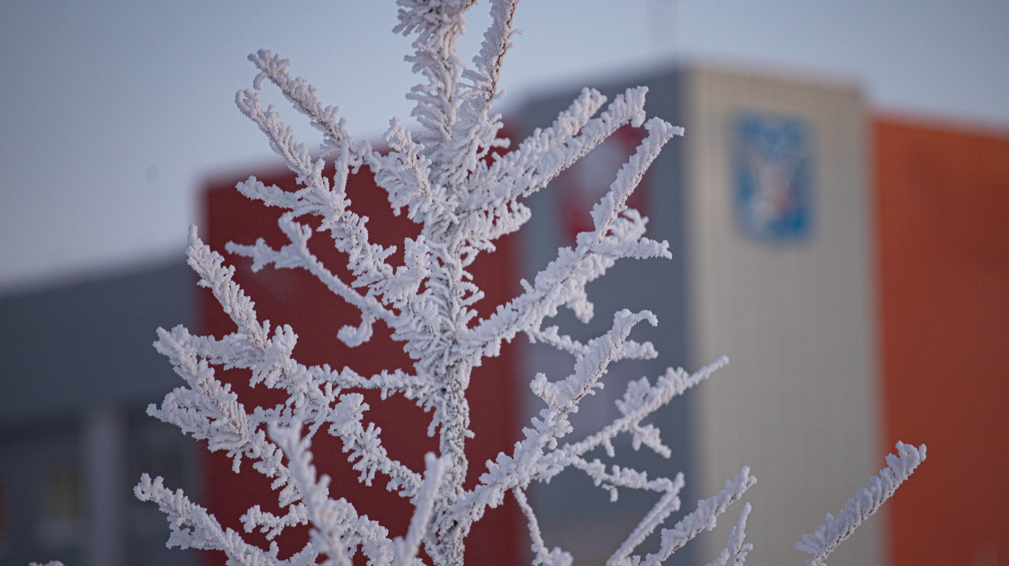 Дудинка -45 С. Фотограф Эдуард Алмадаков