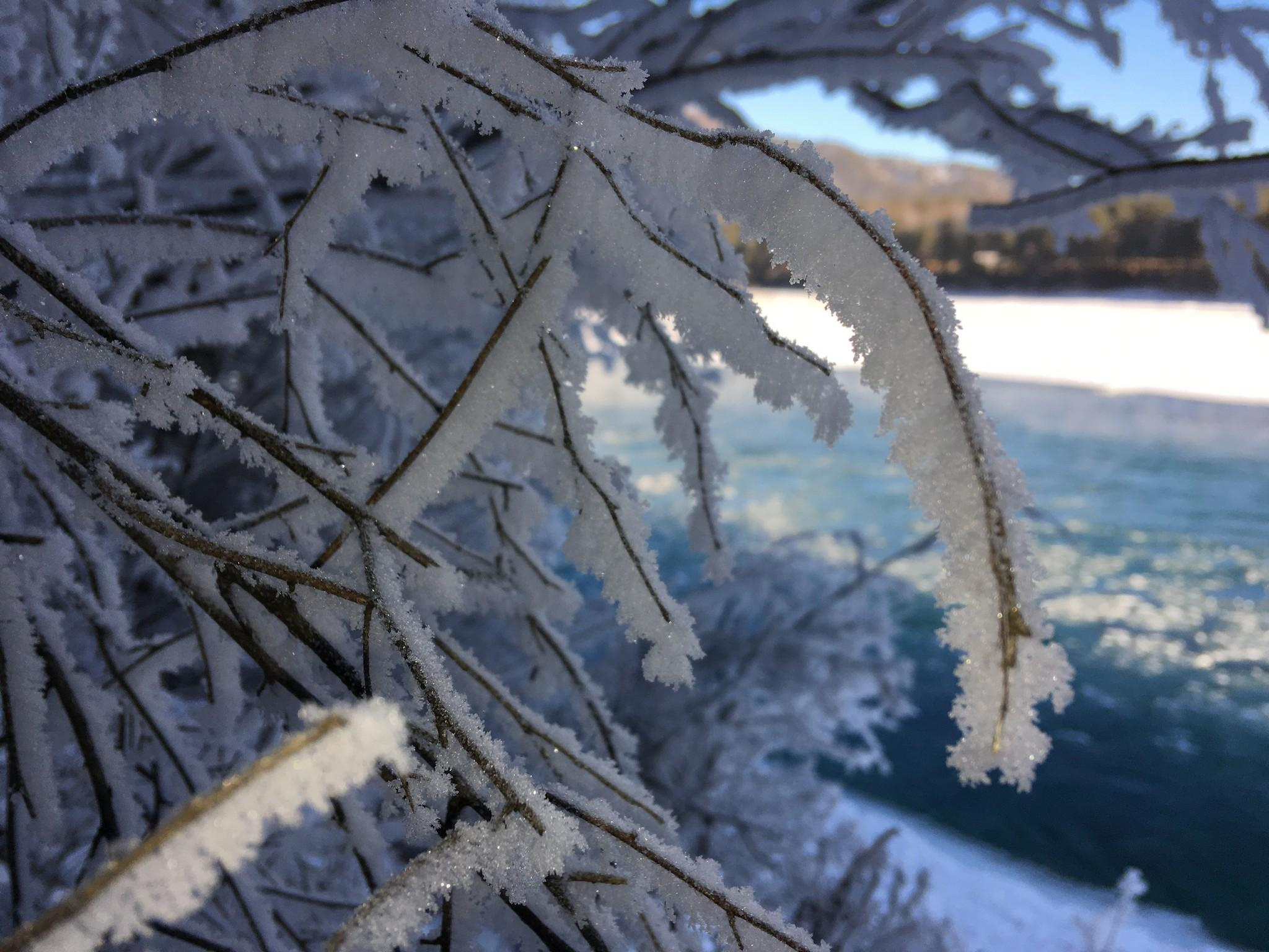 Зимний Чемал. Фотограф Эдуард Алмадаков
